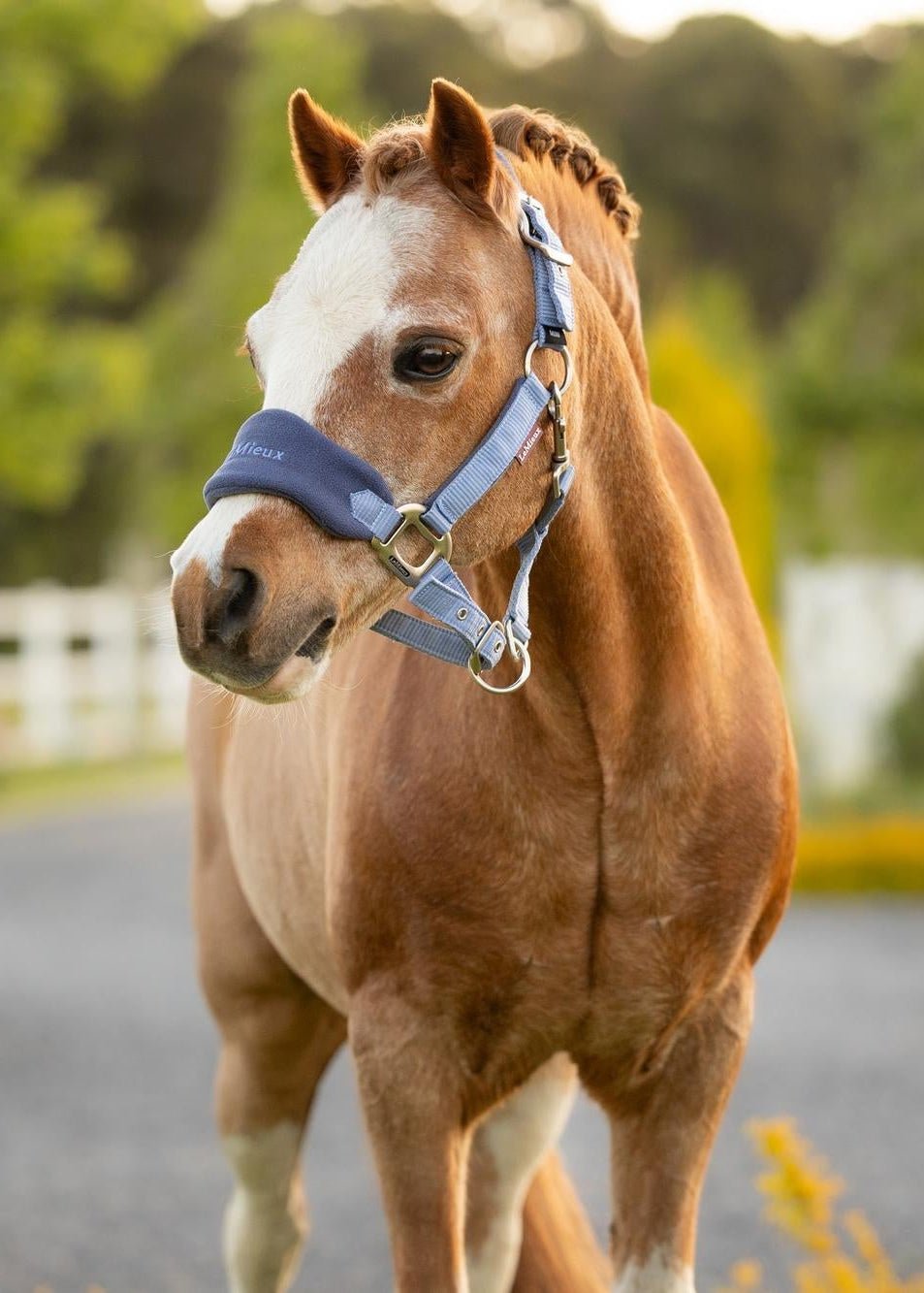 LeMieux Mini Vogue Headcollar & Leadrope Powder Blue | Equiflair