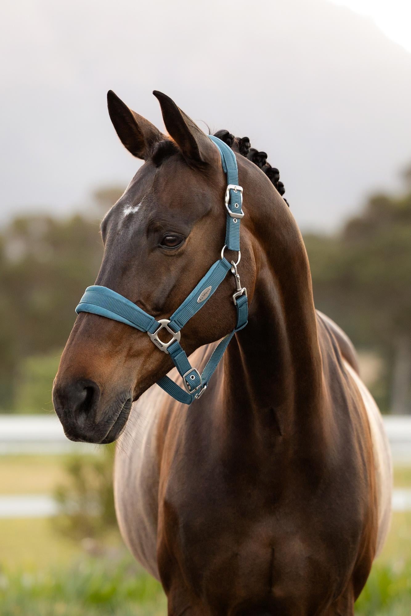 LeMieux Versailles Headcollar Jungle
