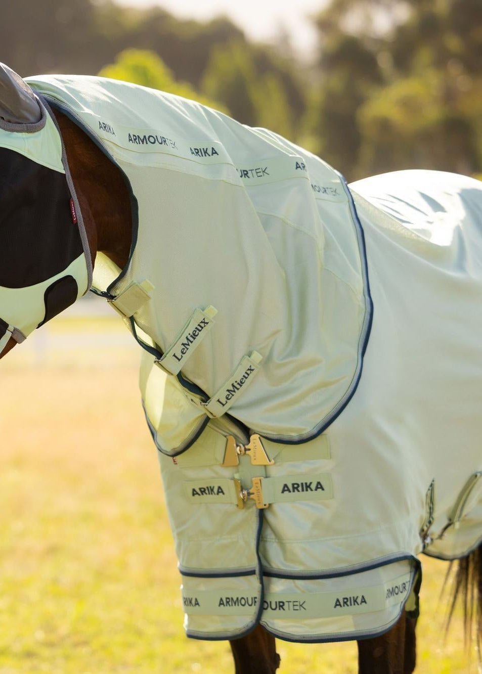 LeMieux Arika Armour - Tek Fly Rug Macaron | Equiflair