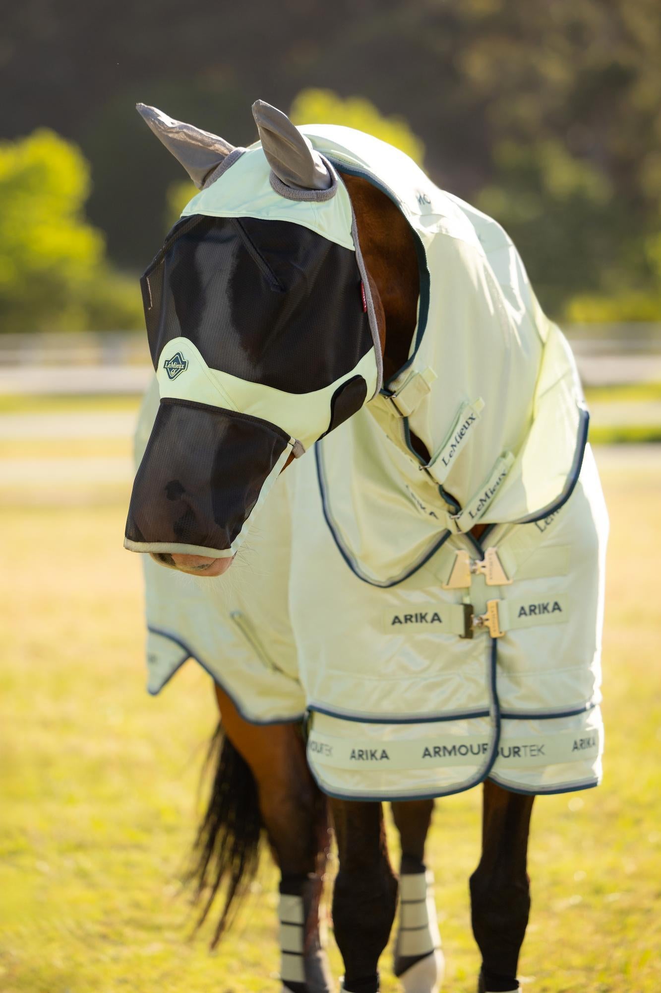 LeMieux Visor-Tek Full Fly Mask Macaron for horse with UV protection and breathable mesh ears.