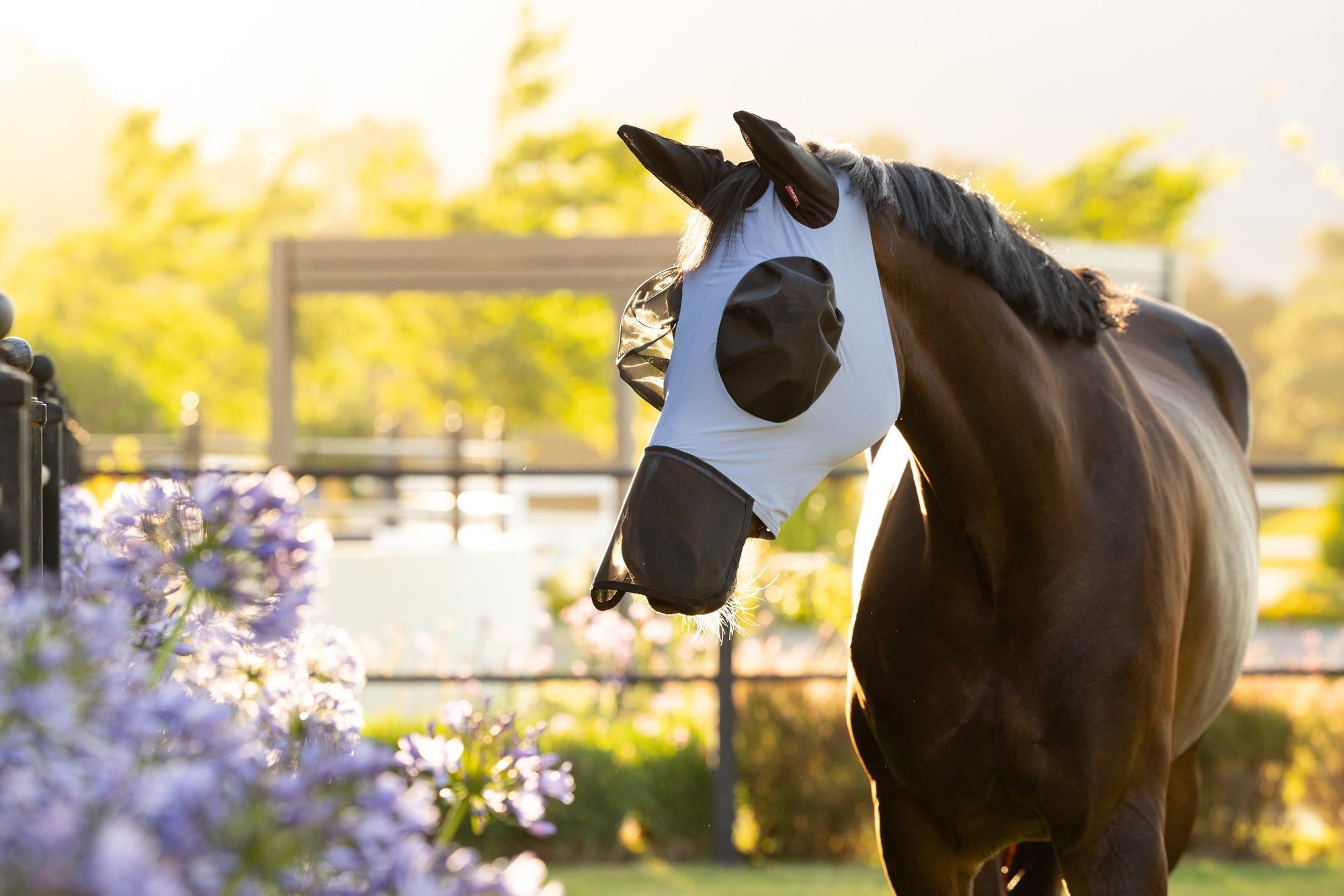 LeMieux Powder Blue fly mask on horse with mesh ears and UV protection