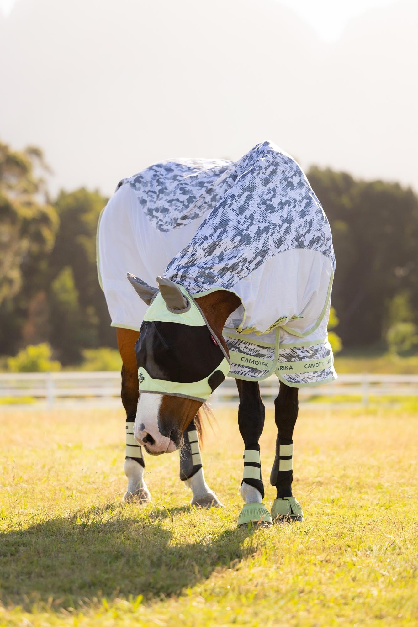 LeMieux Arika Camo-Tek Fly Rug Macaron