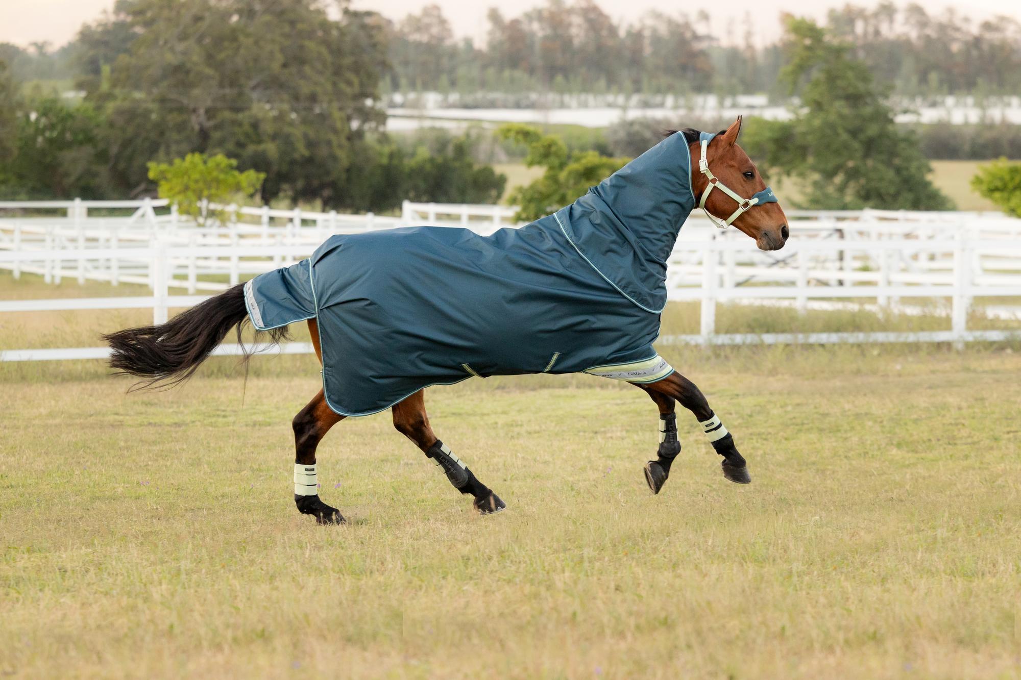LeMieux Arika Ripstop 0g Turnout Rug Jungle | Equiflair