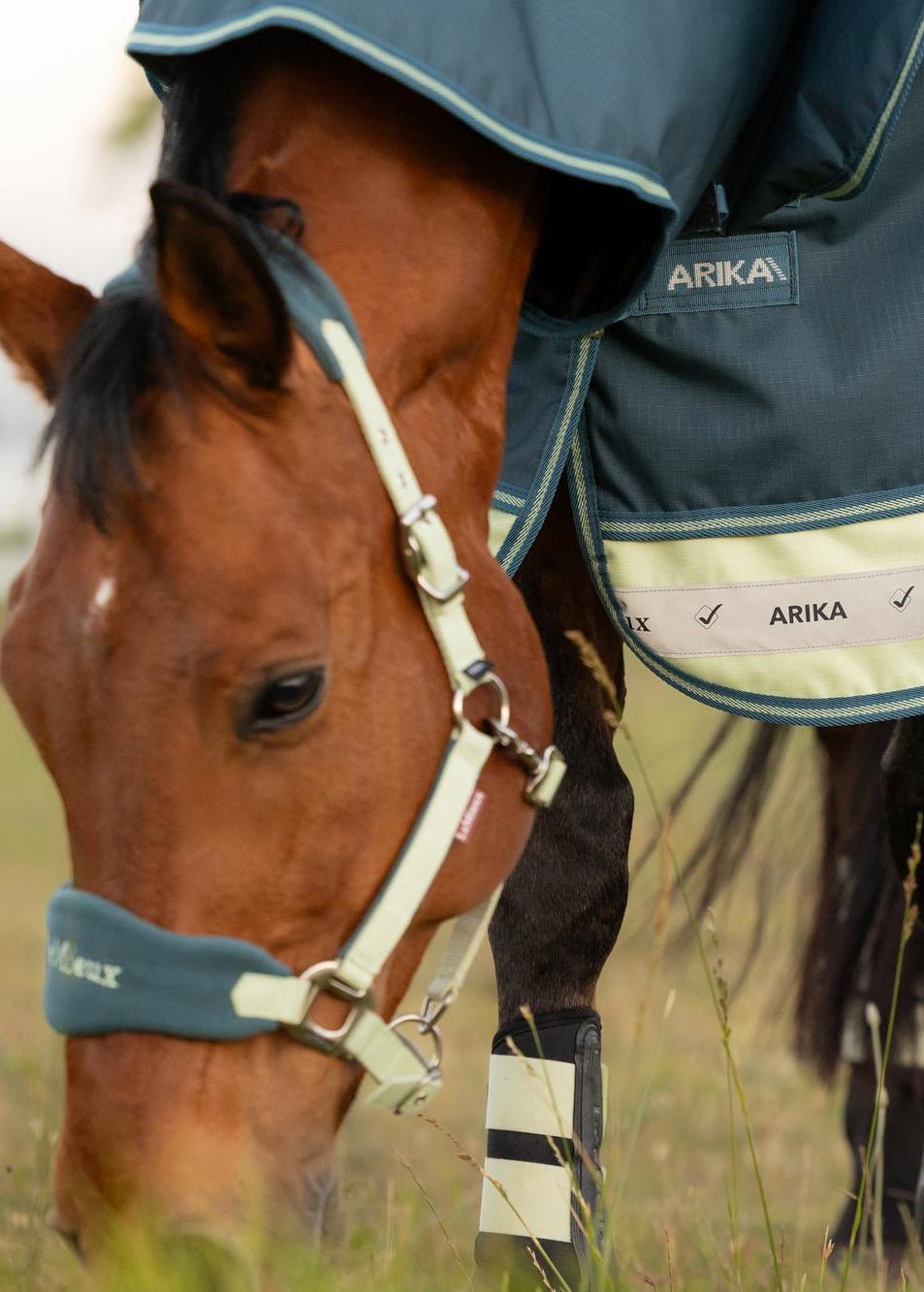 LeMieux Arika Ripstop 0g Turnout Rug Jungle | Equiflair