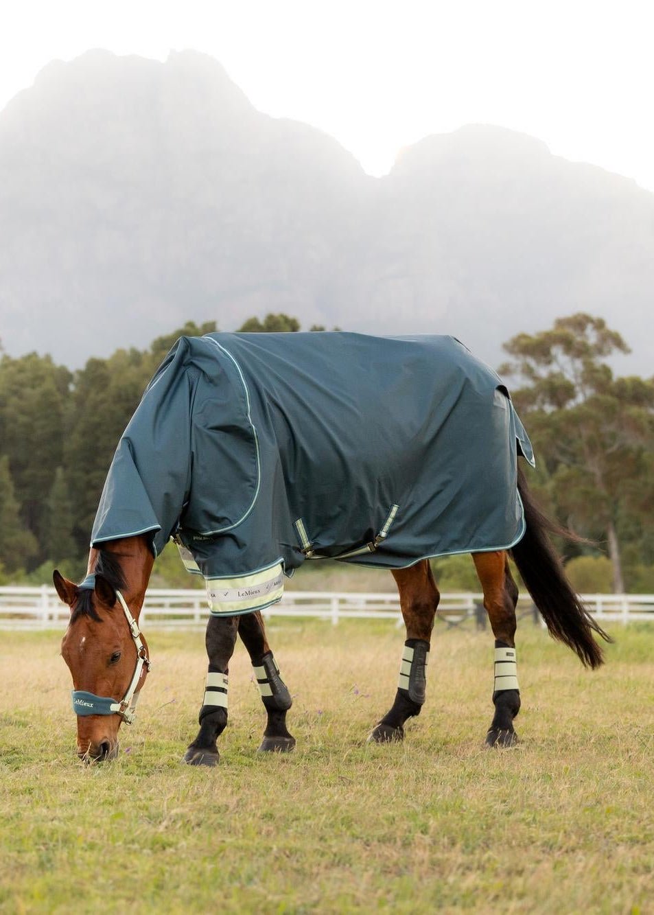 LeMieux Arika Ripstop 0g Turnout Rug Jungle | Equiflair