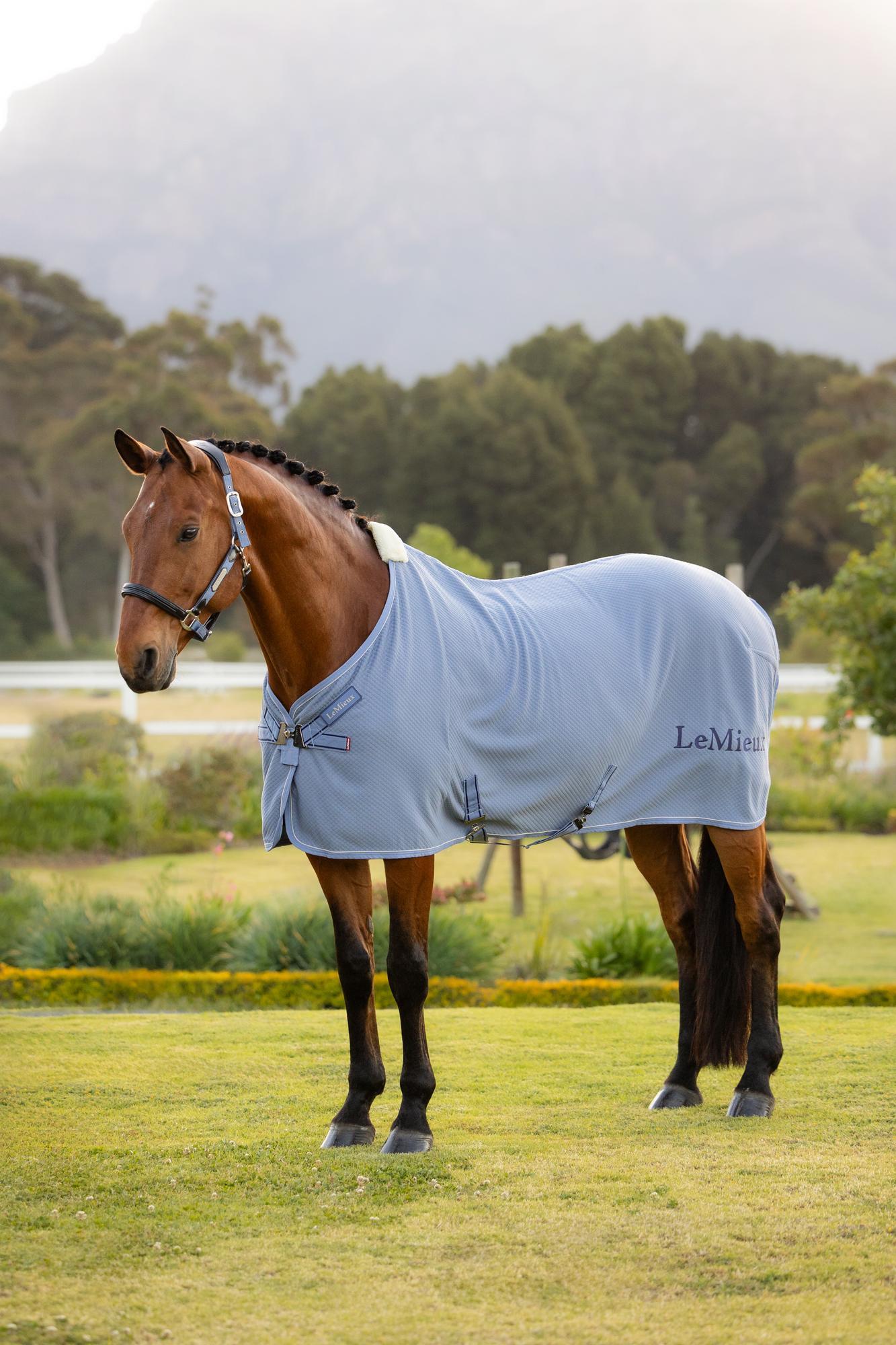 LeMieux Kudos Bamboo Cooler Powder Blue | Equiflair