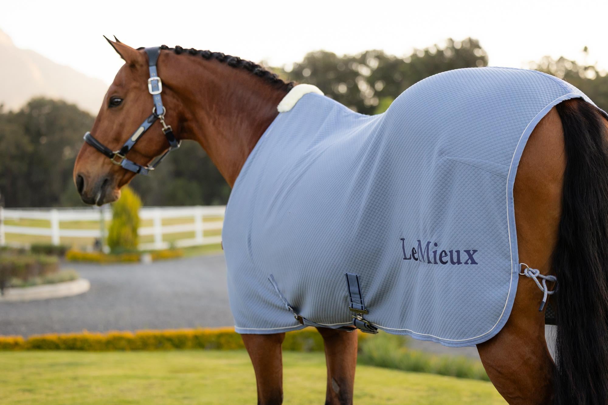 LeMieux Kudos Bamboo Cooler Powder Blue | Equiflair