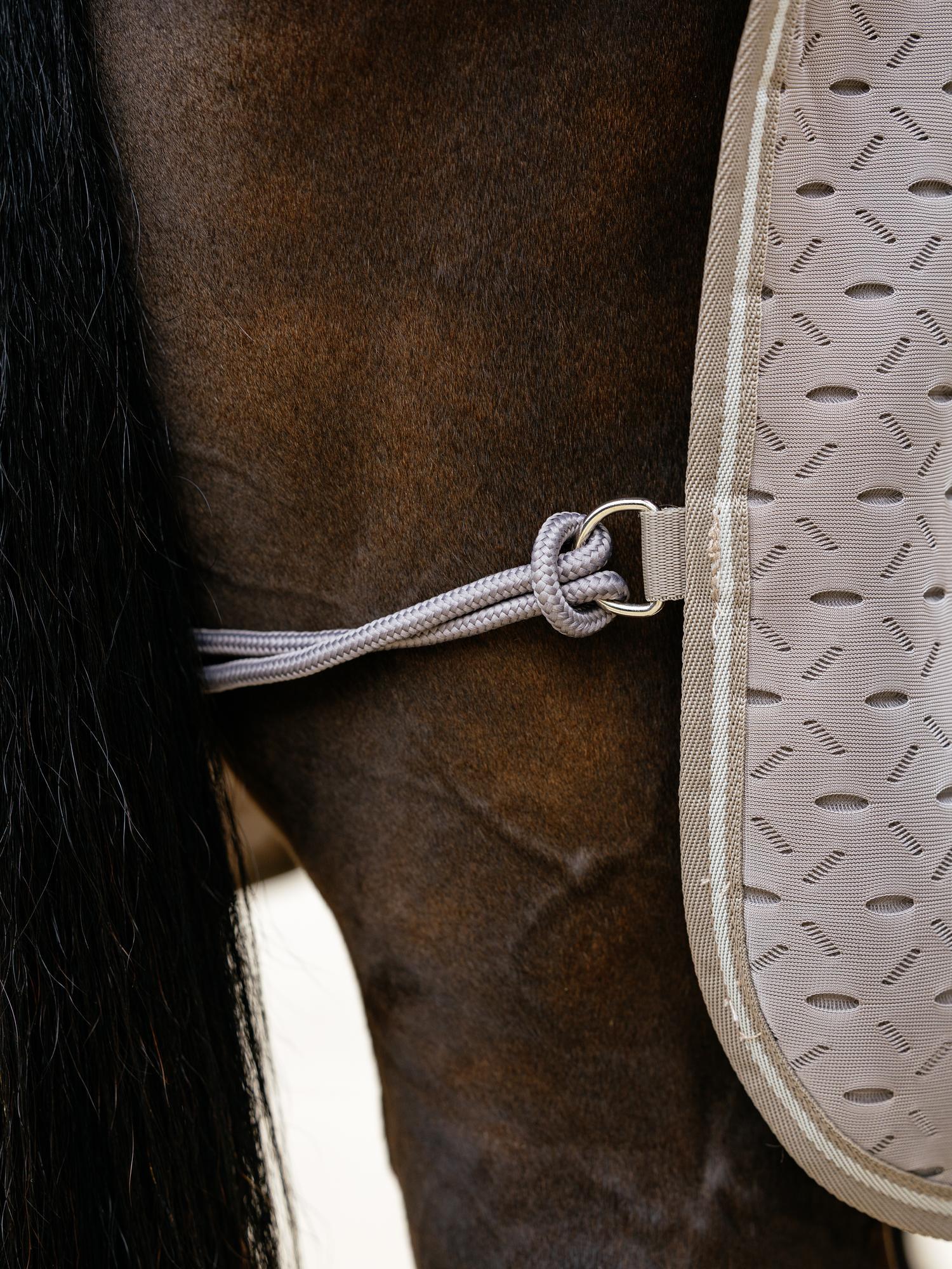 LeMieux Kudos 3D Mesh Travel Rug Pecan | Equiflair
