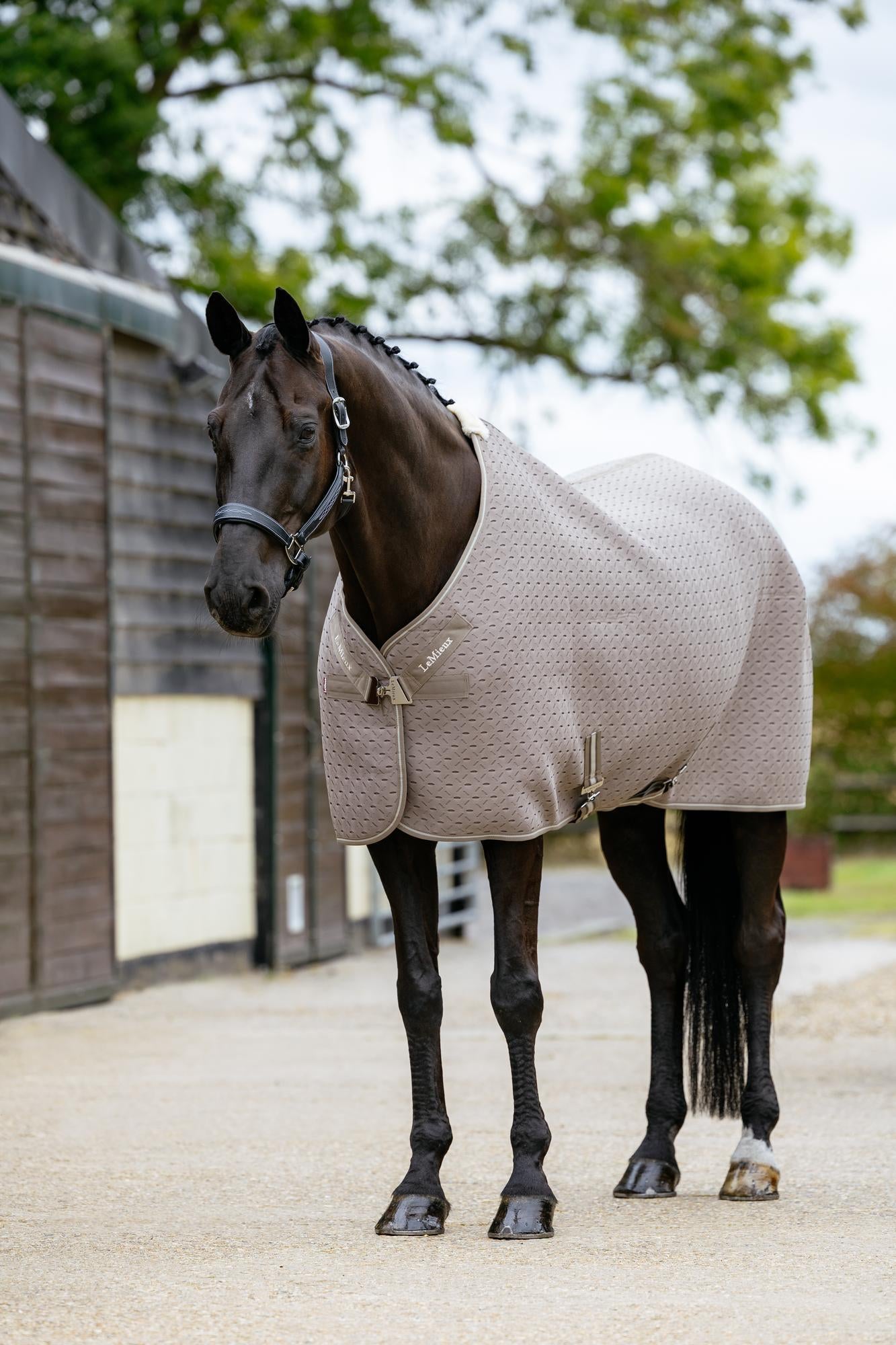 LeMieux Kudos 3D Mesh Travel Rug Pecan | Equiflair