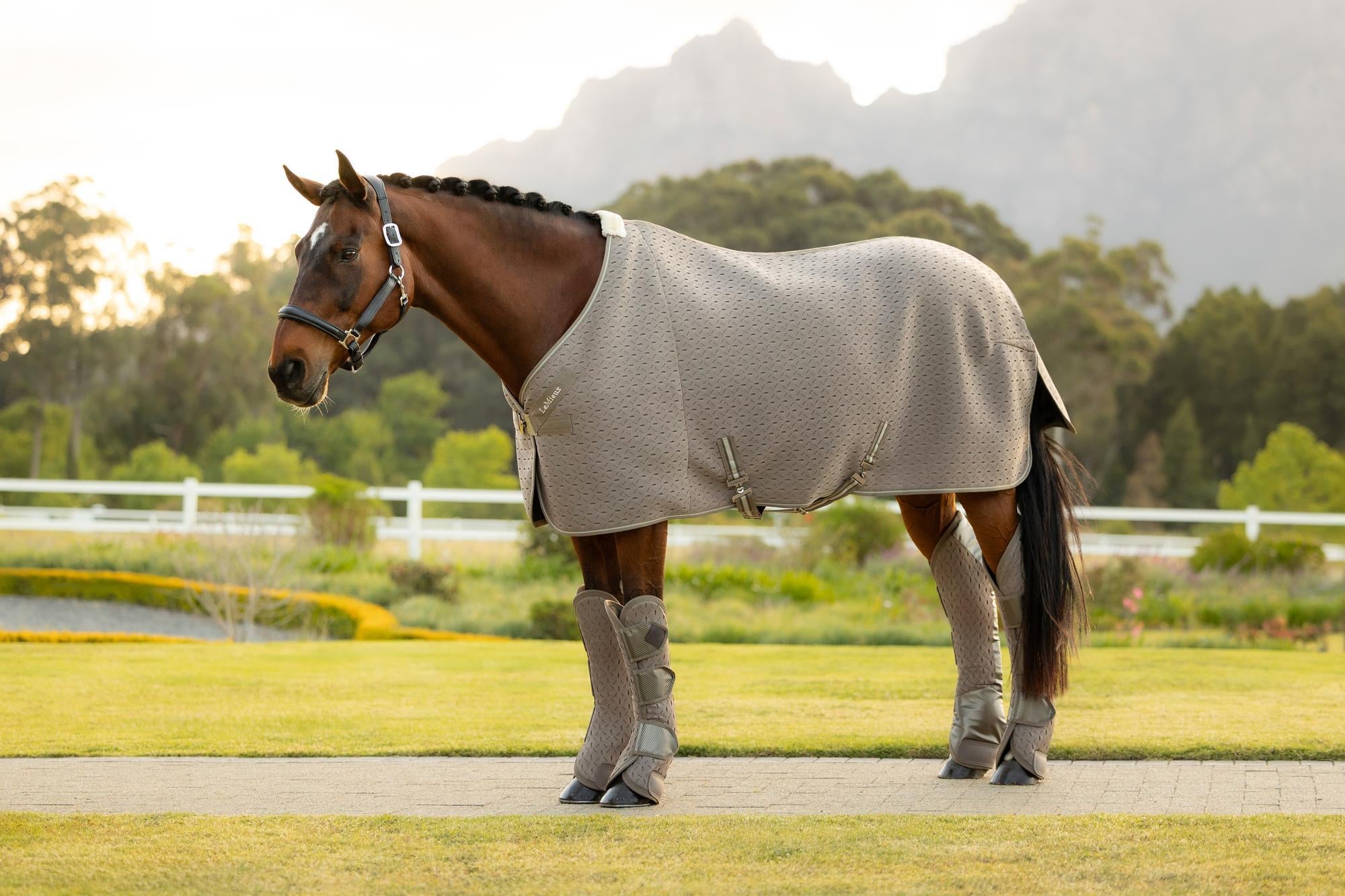 LeMieux Kudos 3D Mesh Travel Rug Pecan | Equiflair