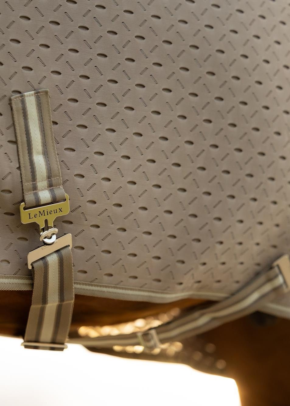 LeMieux Kudos 3D Mesh Travel Rug Pecan | Equiflair