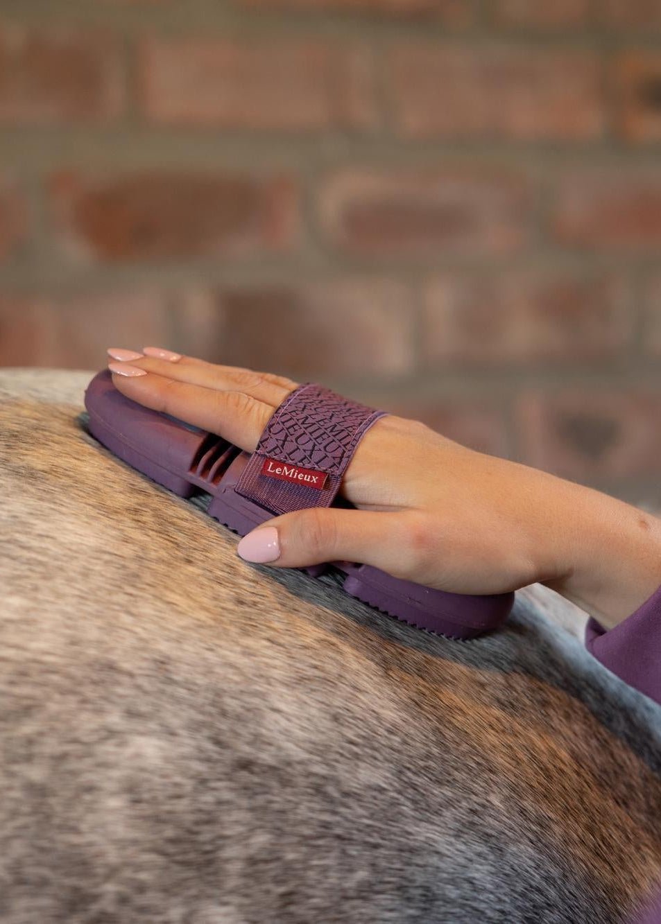 LeMieux Flexi Curry Comb Powder Blue | Equiflair