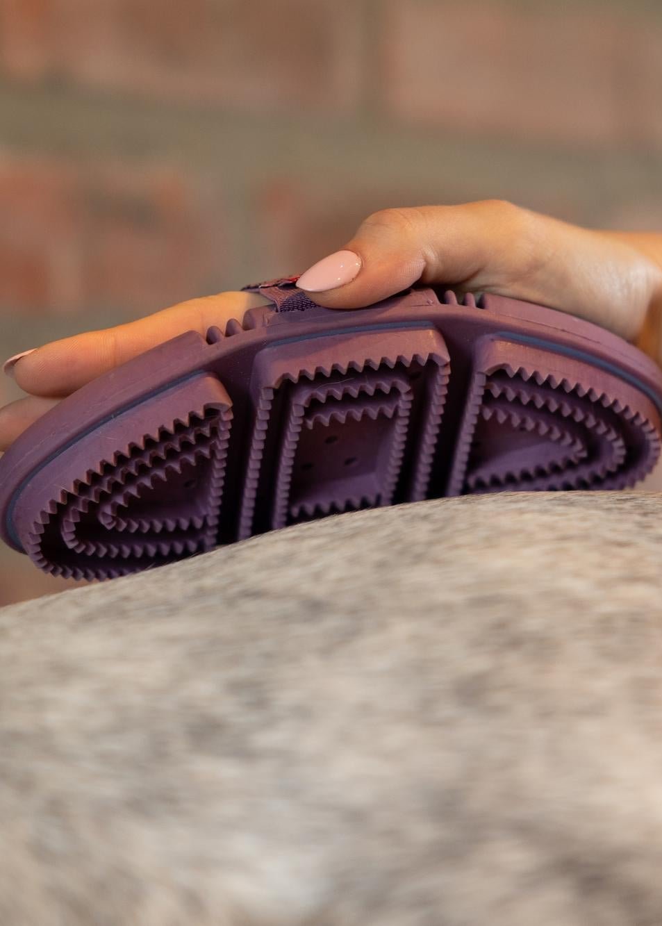 LeMieux Flexi Curry Comb Powder Blue | Equiflair