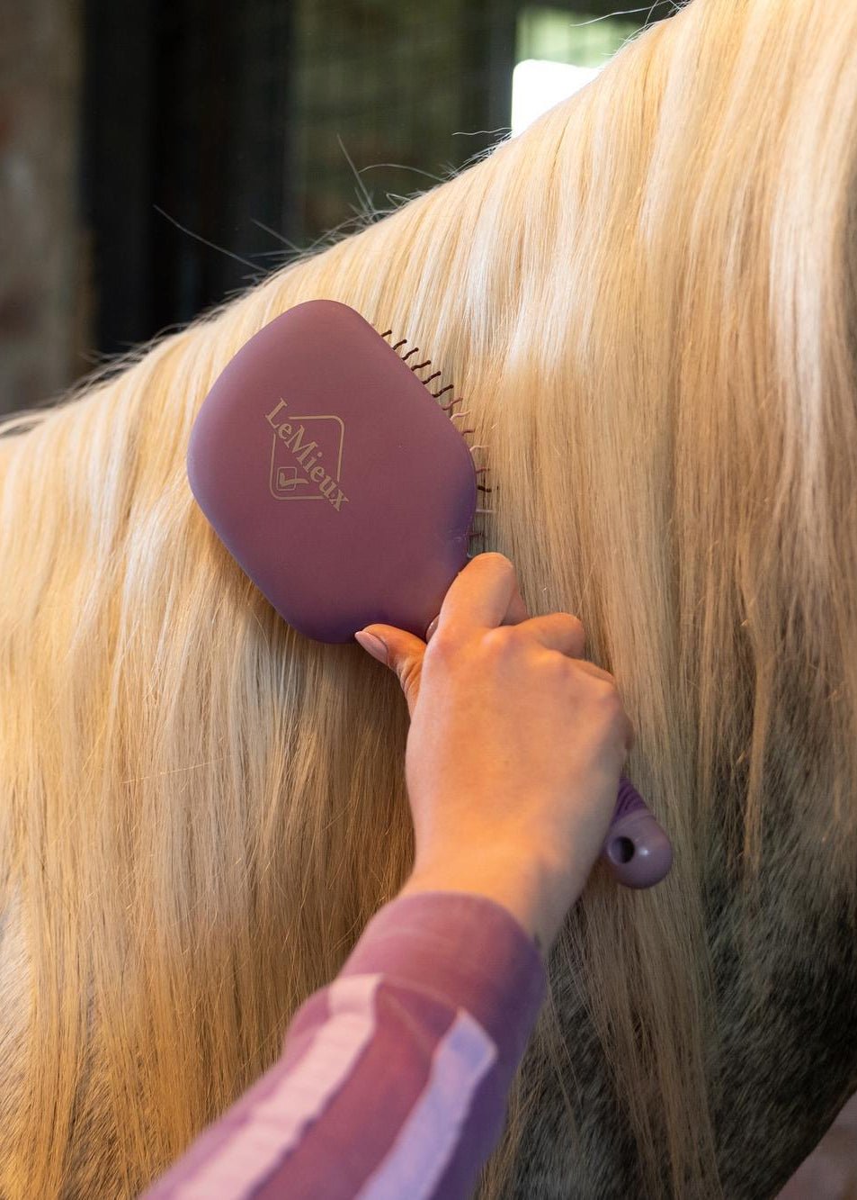 LeMieux Tangle Tidy Mallow | Equiflair