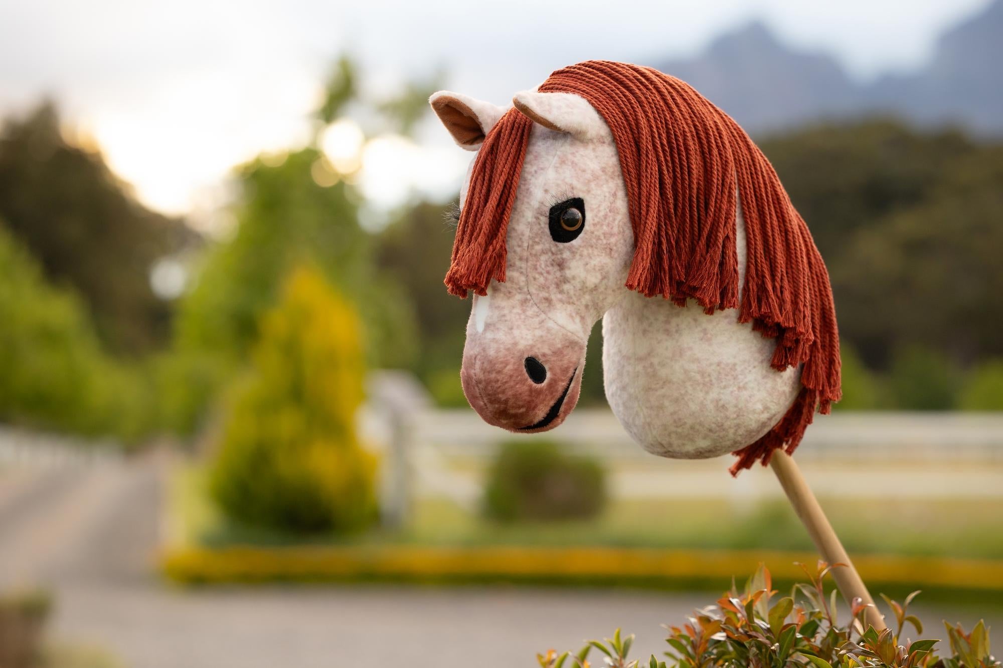 LeMieux Hobby Horse Poppy | Equiflair