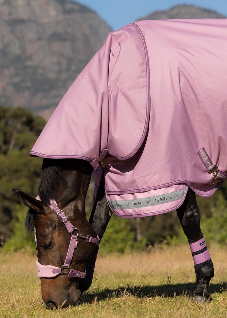 LeMieux Arika Ripstop 50g Turnout Rug Fondant | Equiflair