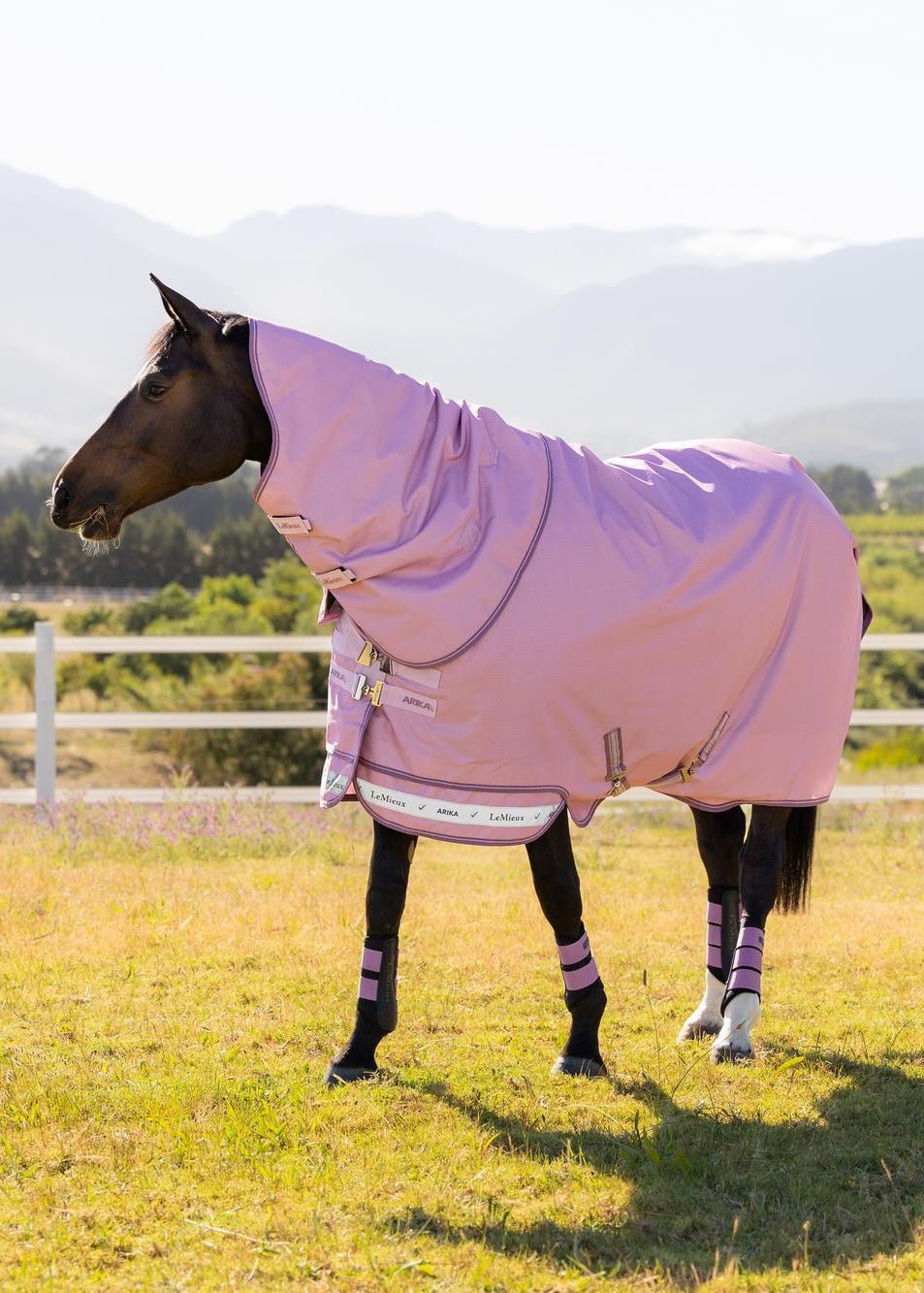 LeMieux Arika Ripstop 50g Turnout Rug Fondant | Equiflair