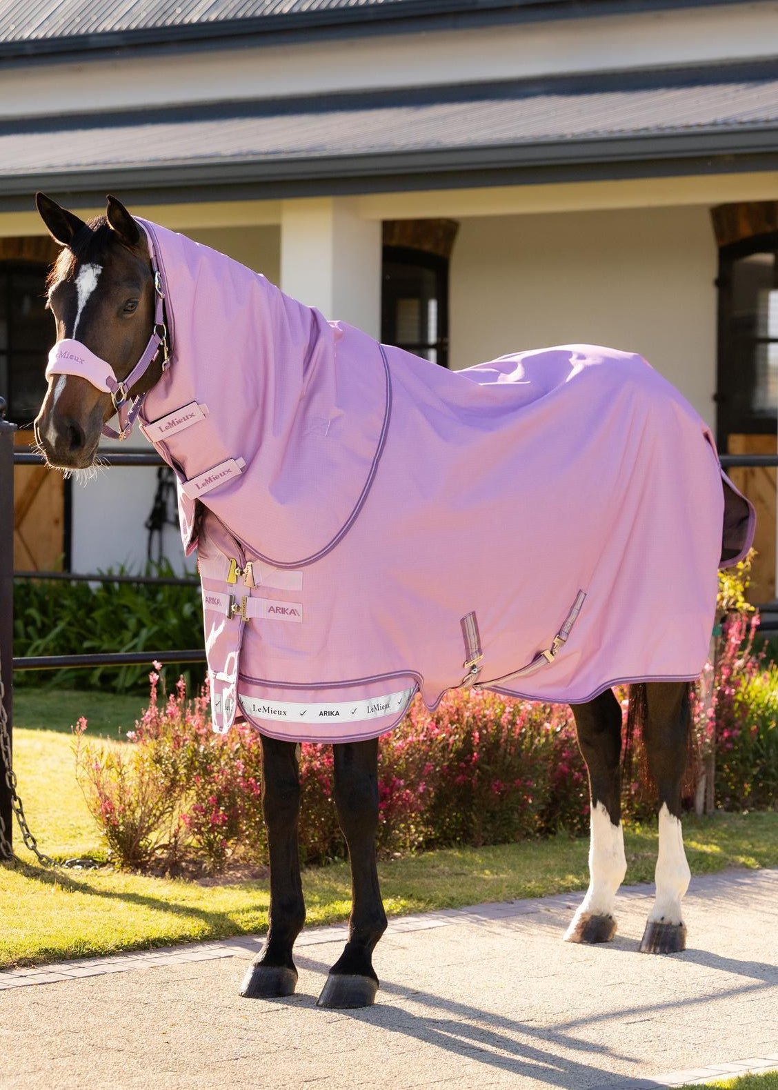 LeMieux Arika Ripstop 50g Turnout Rug Fondant | Equiflair