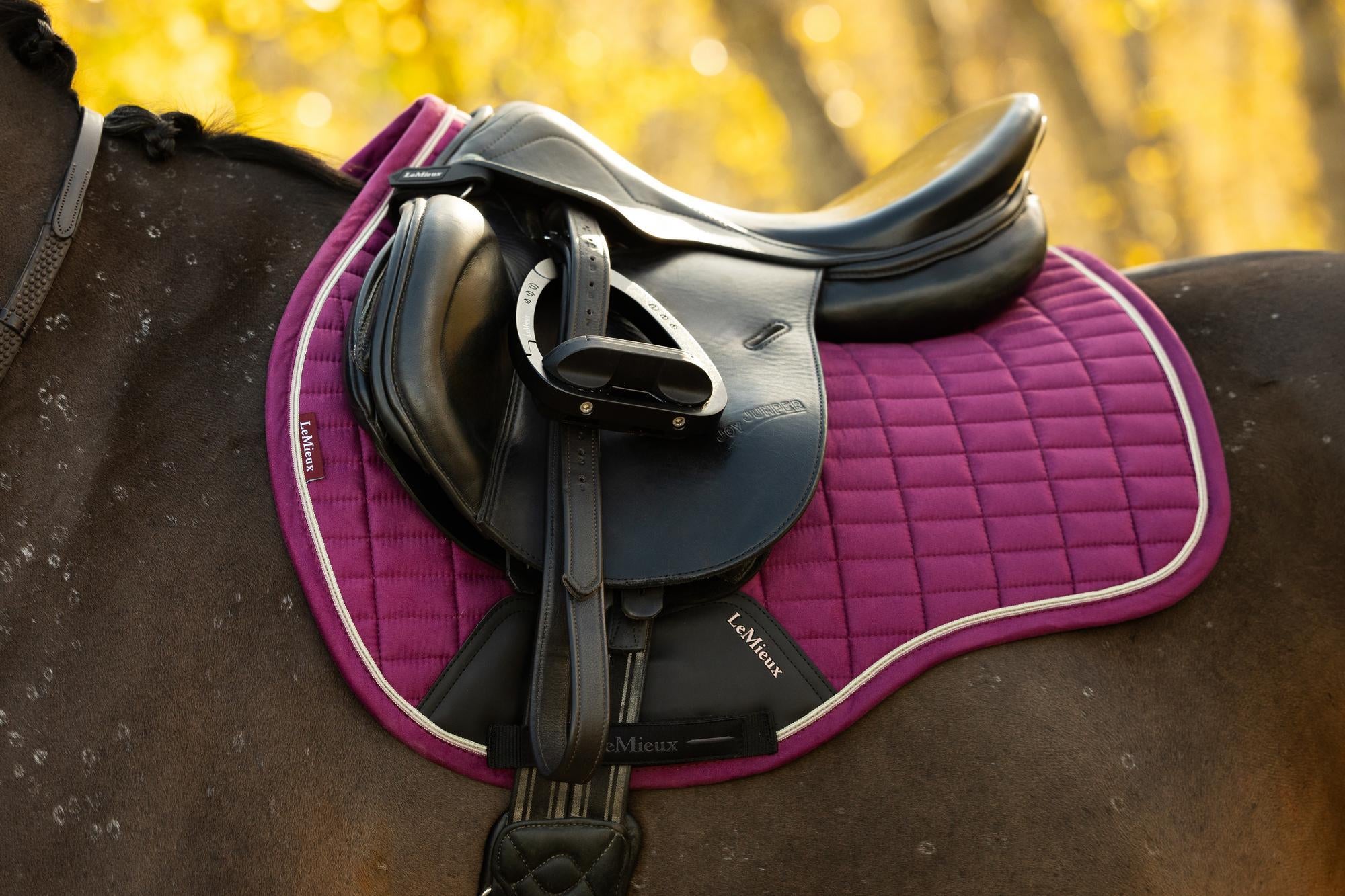 LeMieux Suede GP Square Blackberry