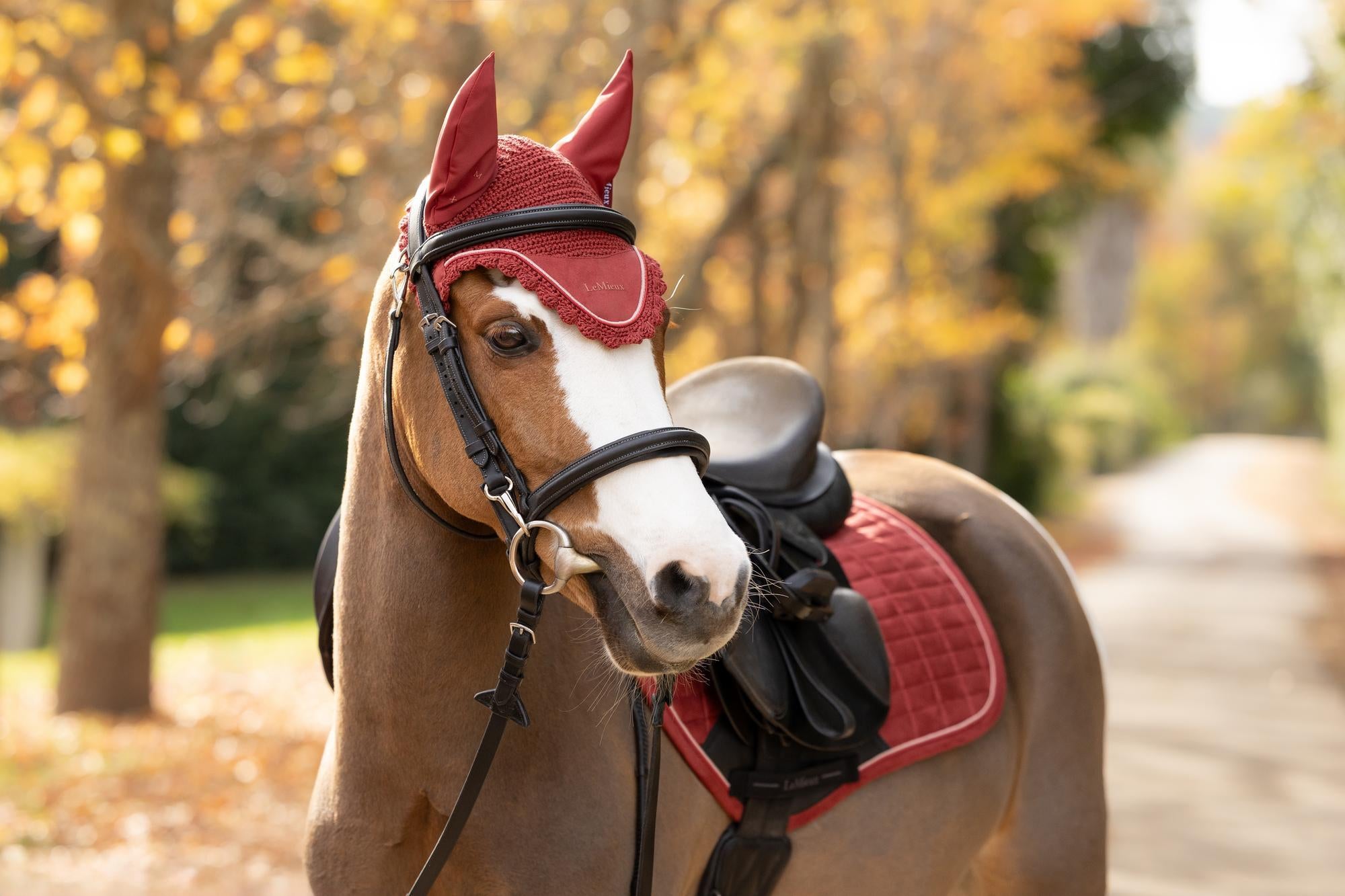 LeMieux Classic Fly Hood Russet