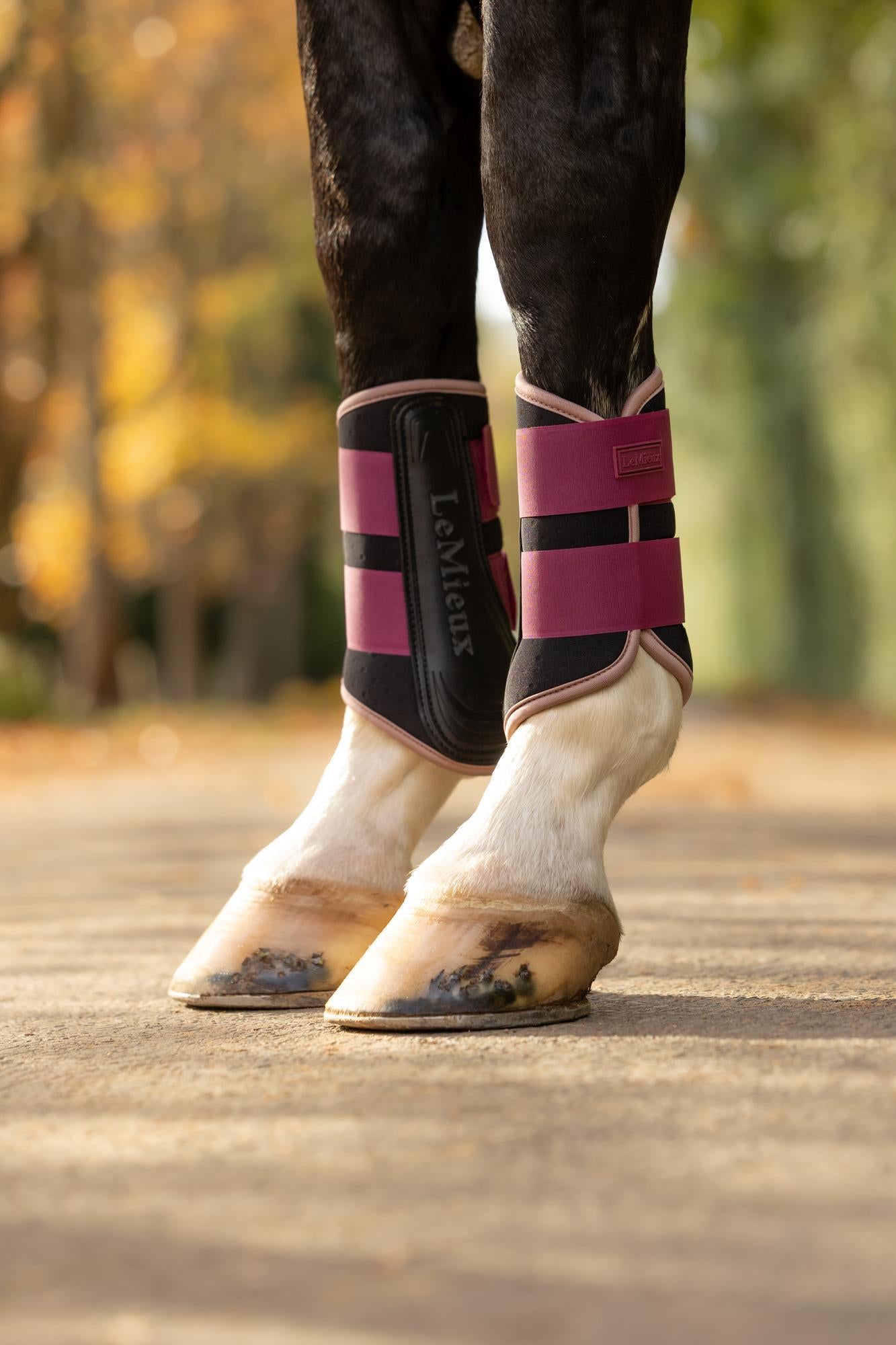LeMieux Air-Tek Grafter Brushing Boots Blackberry