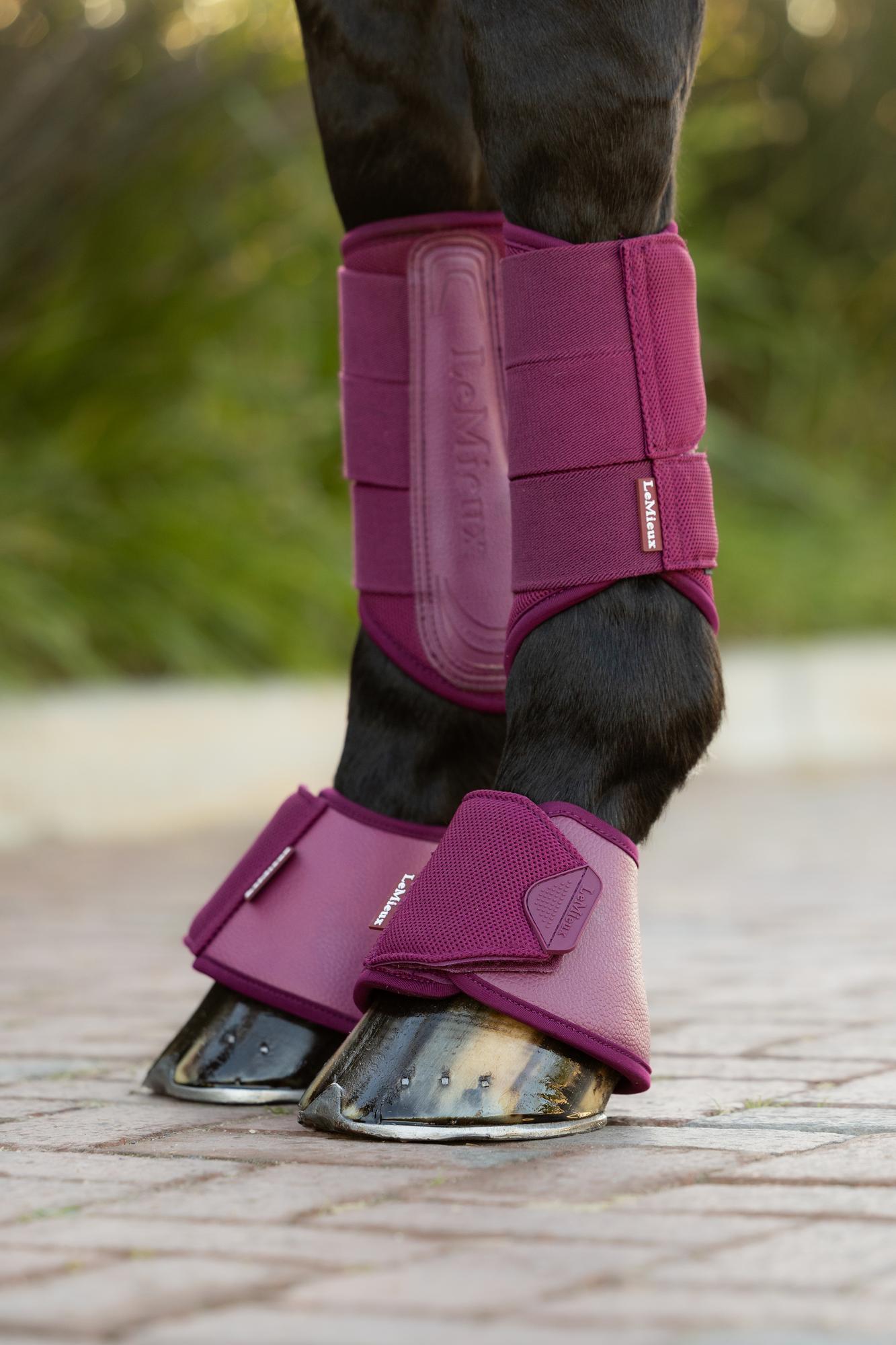 LeMieux Arika Over Reach Boots Blackberry