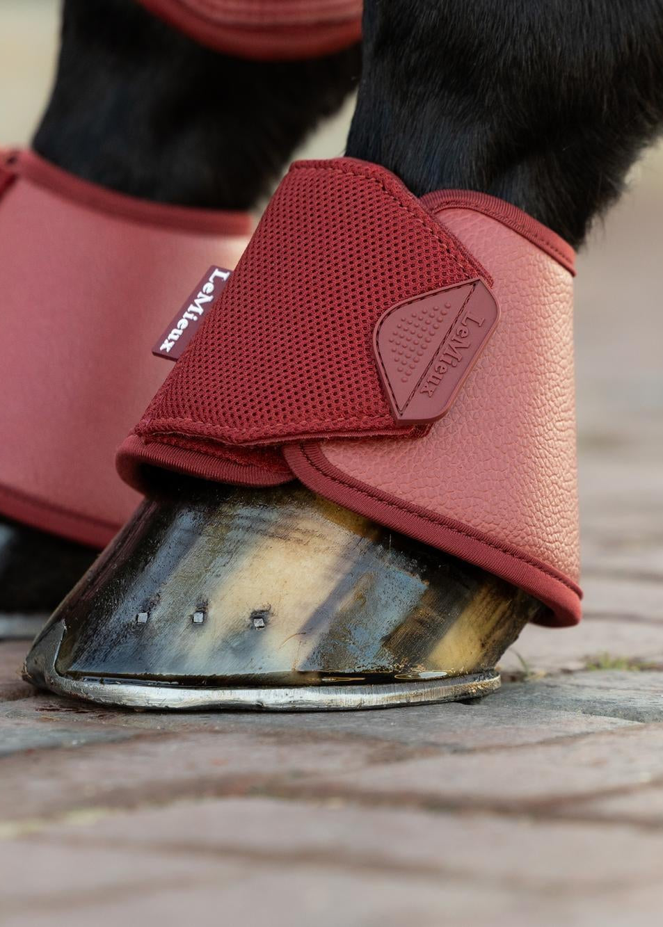 LeMieux Arika Over Reach Boots Russet