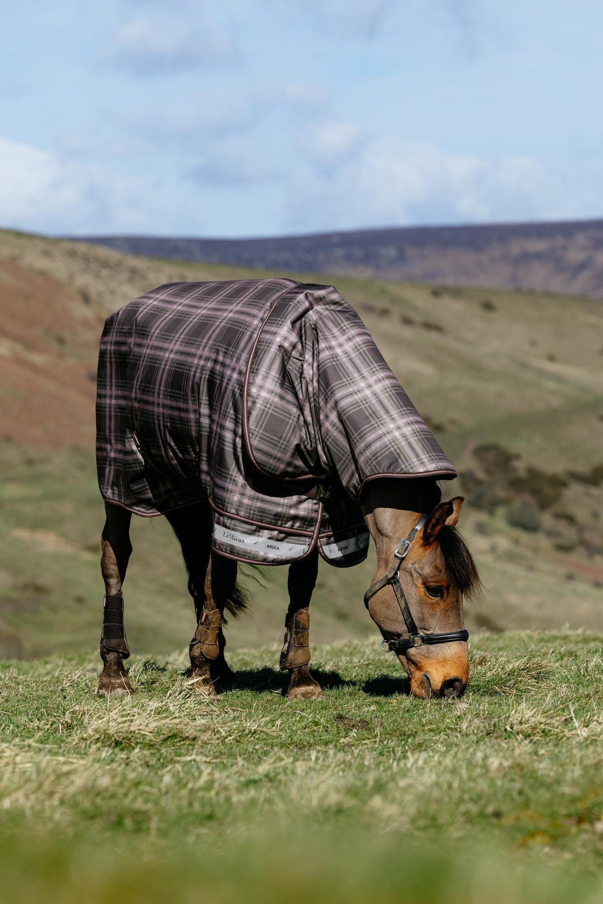 LeMieux Arika Heritage Check Turnout Rug on a horse grazing in a field