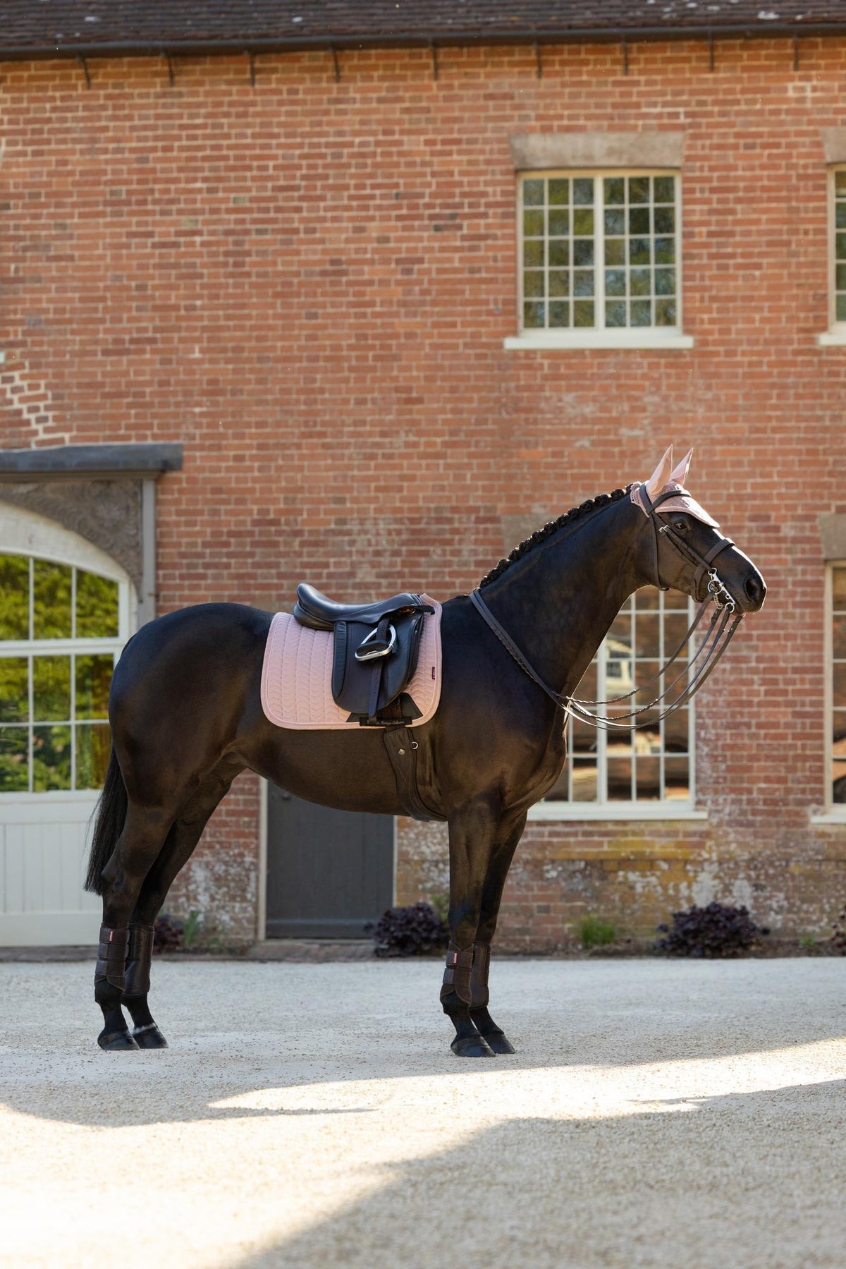 LeMieux Heritage Herringbone Dressage Saddle Pad Wild Rose on Horse
