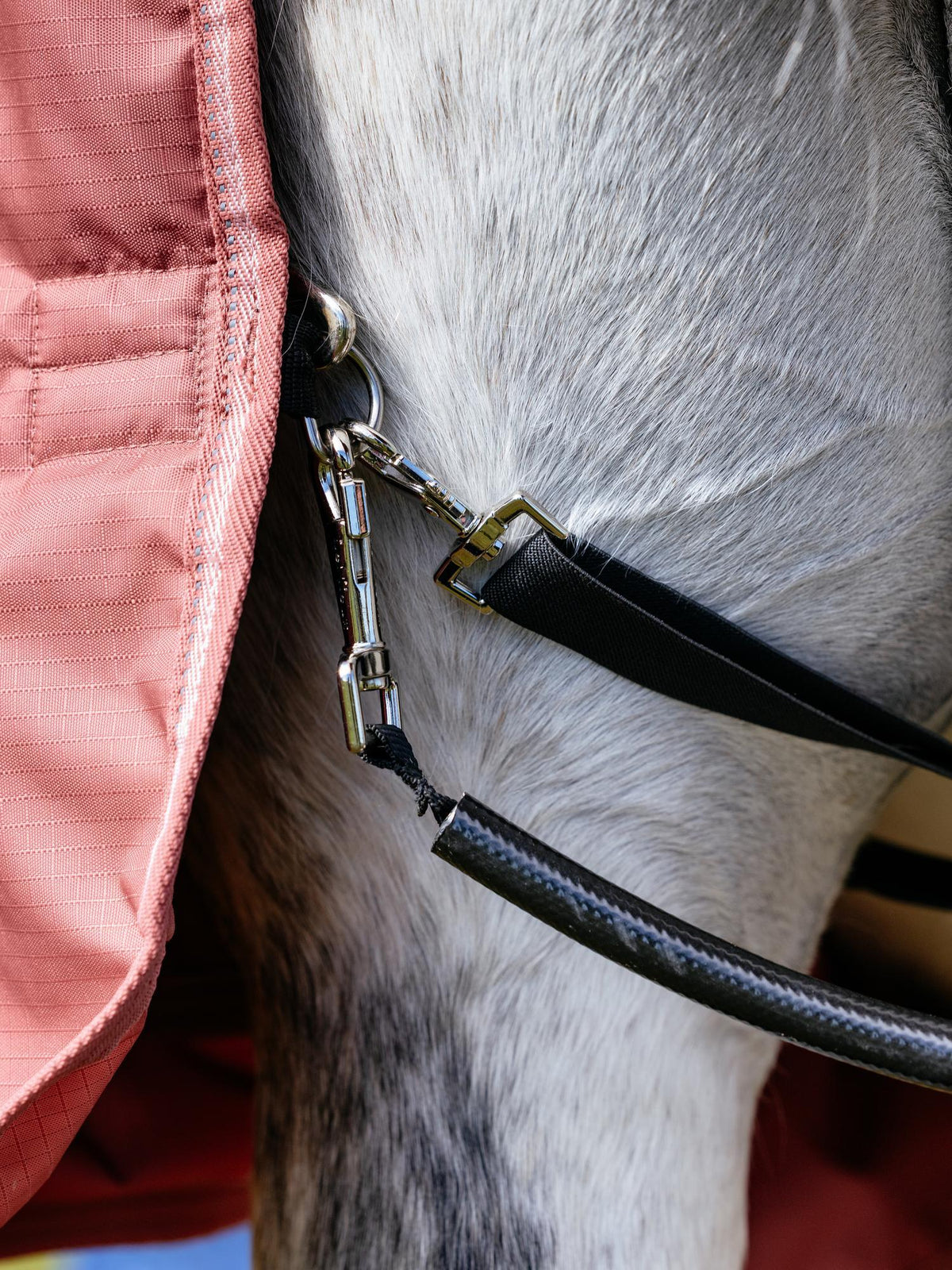 Close-up of a horse wearing a pink LeMieux Arika Star turnout rug with durable waterproof straps.