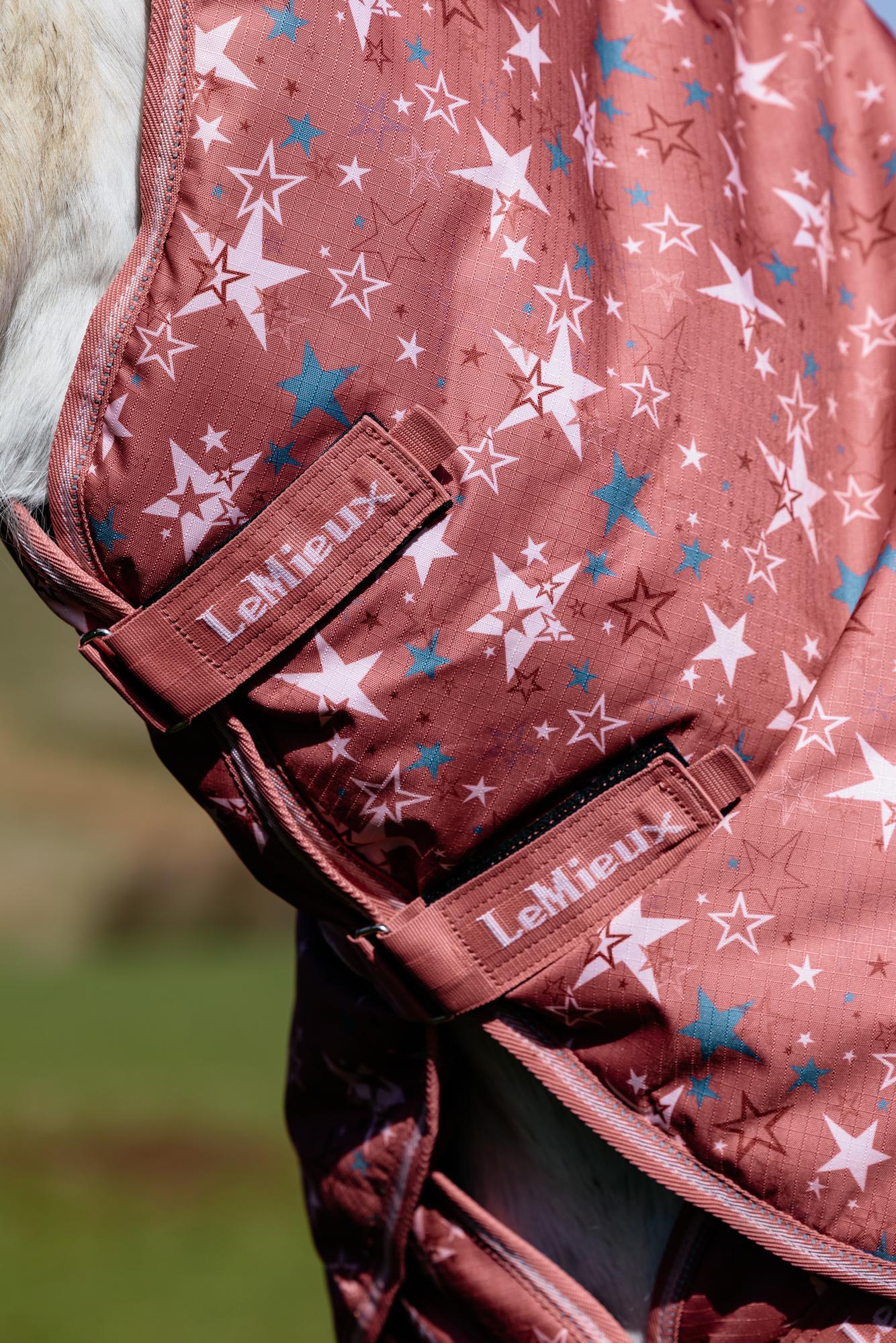 LeMieux Arika Star Turnout Rug 0G Spiced Earth - Waterproof Horse Rug with Star Print