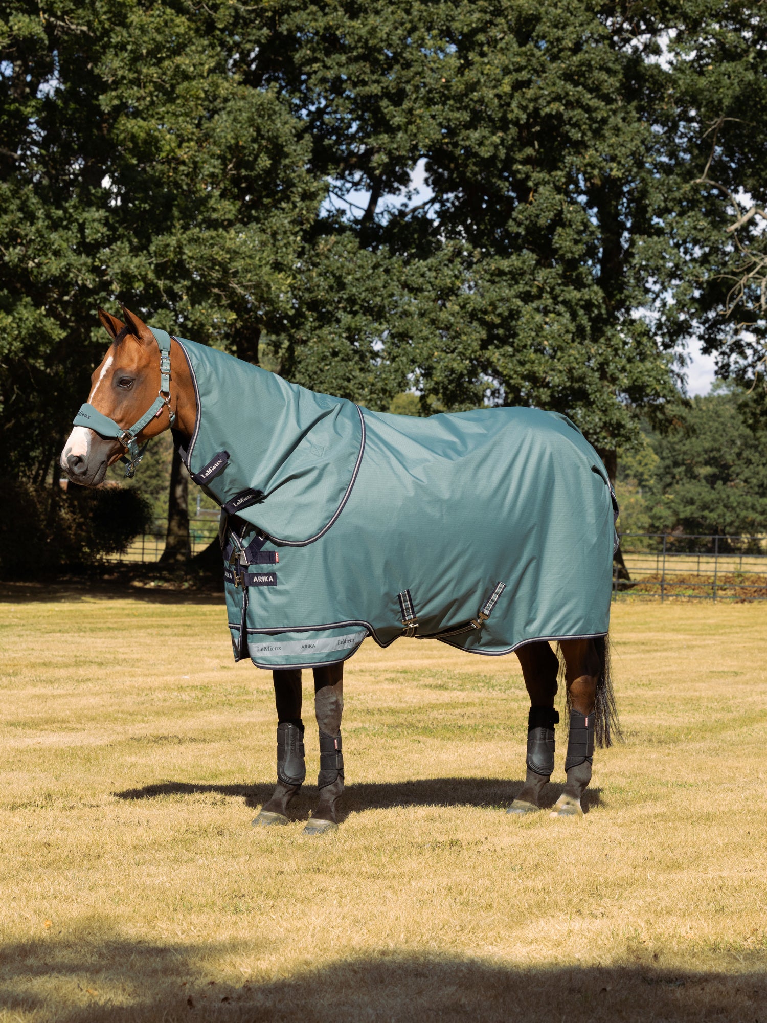 LeMieux Arika Ripstop 0g Turnout Rug Aloe