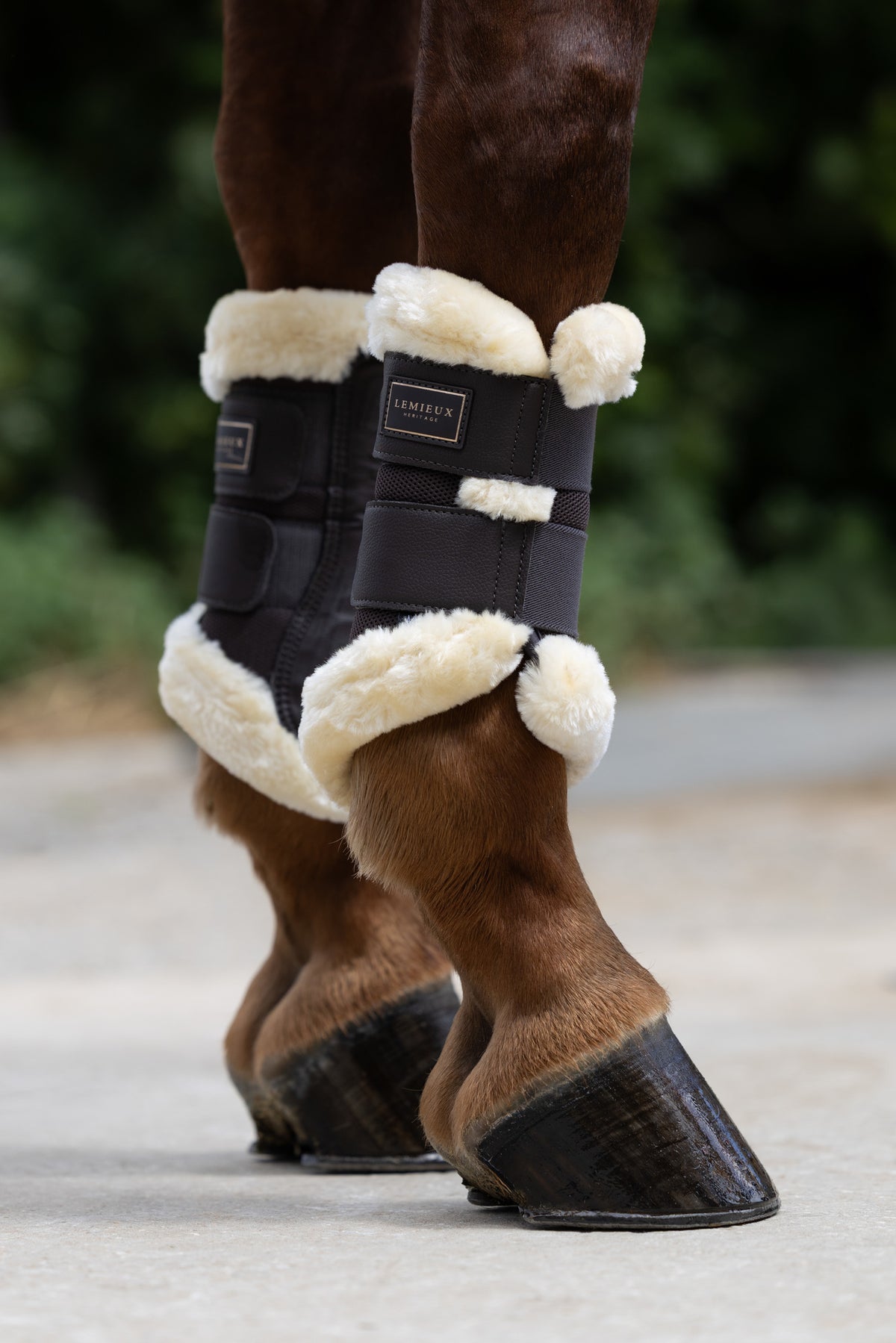 LeMieux Heritage Fleece Edged Brushing Boot Cocoa