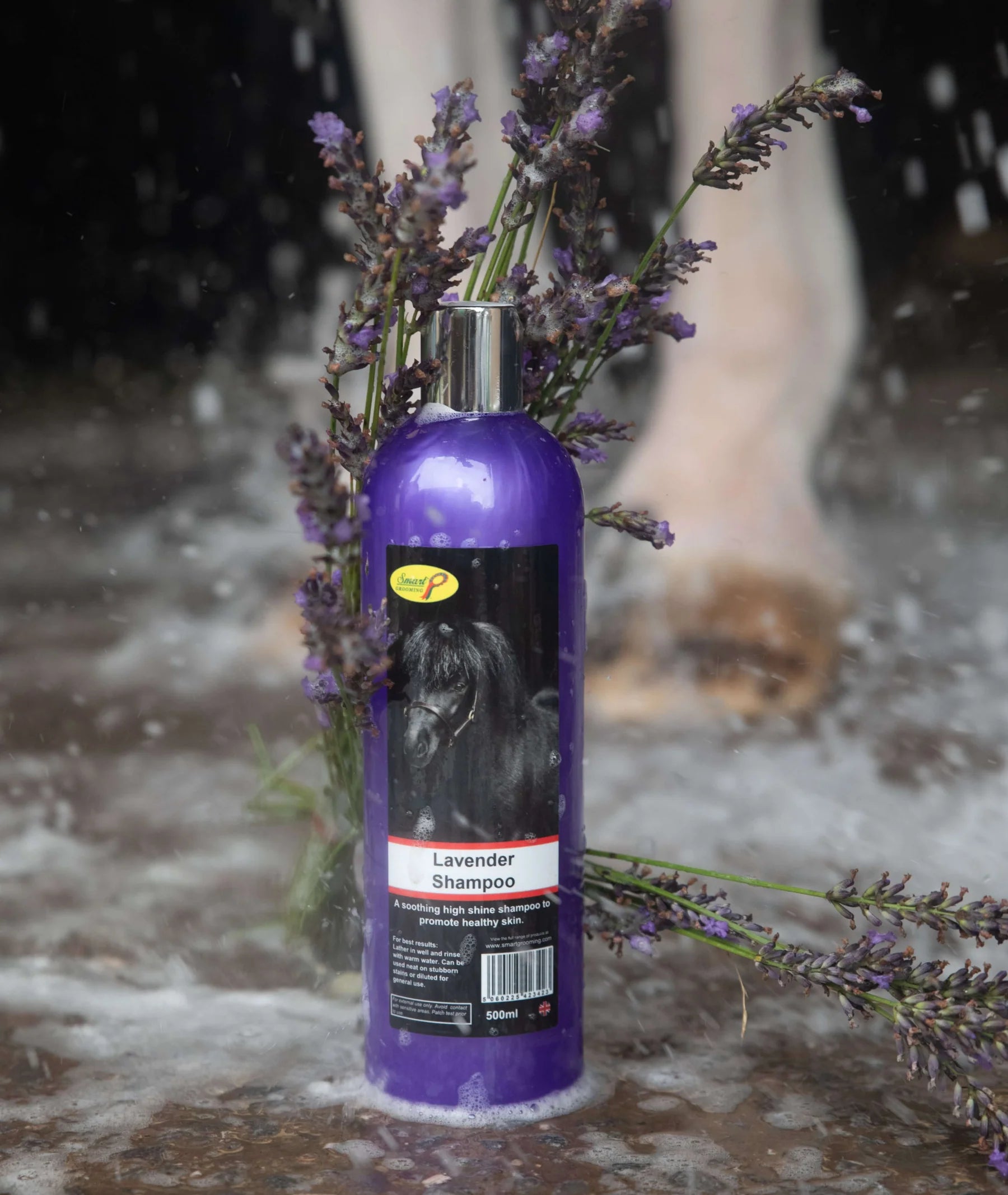 Smart Grooming Lavender Horse Shampoo: High Shine, Healthy Skin, and Natural Insect Repellent. Displayed with Lavender