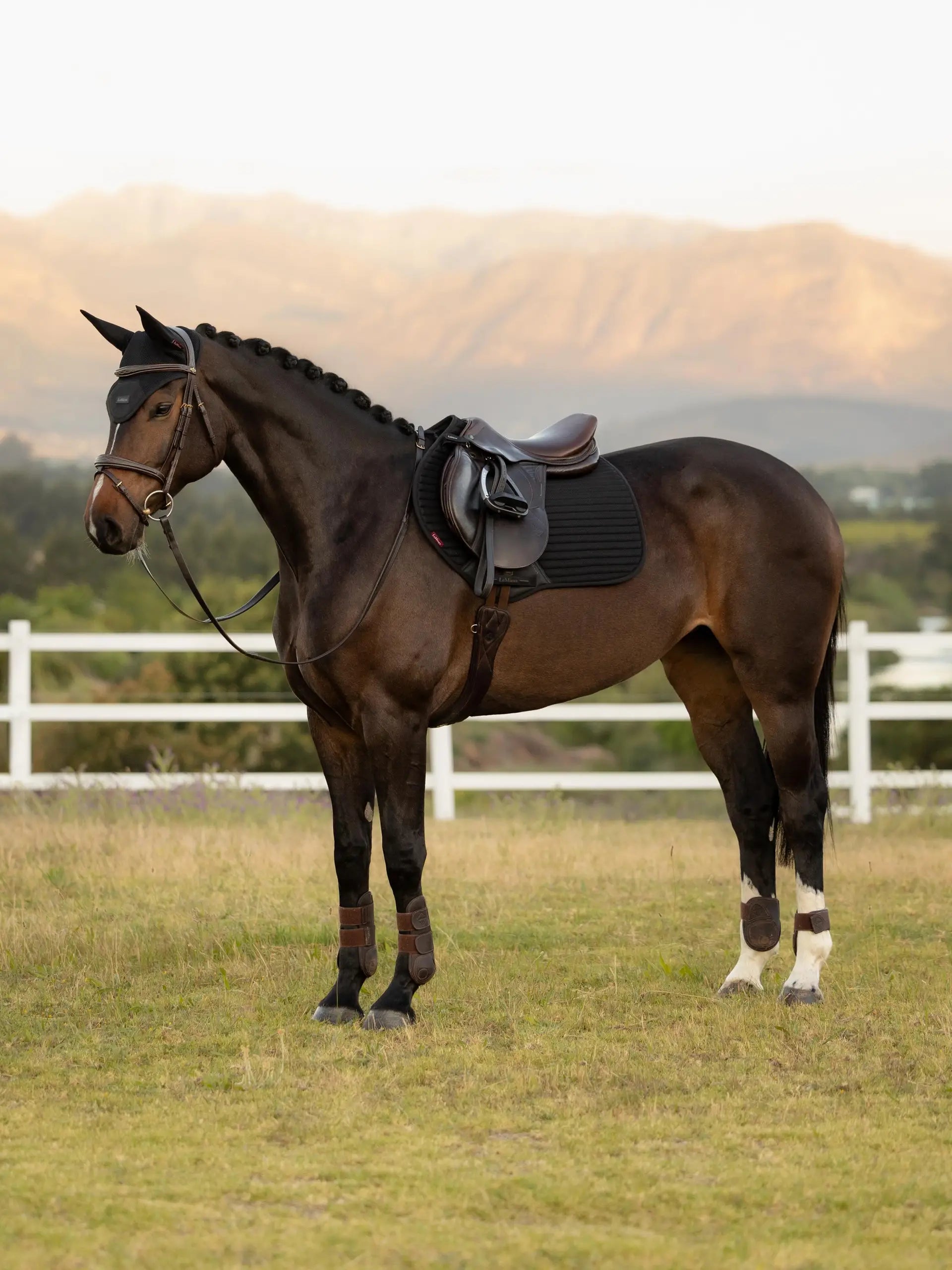 LeMieux Air-Tek Mesh Close Contact Saddle Pad Black breathable cooling saddle pad