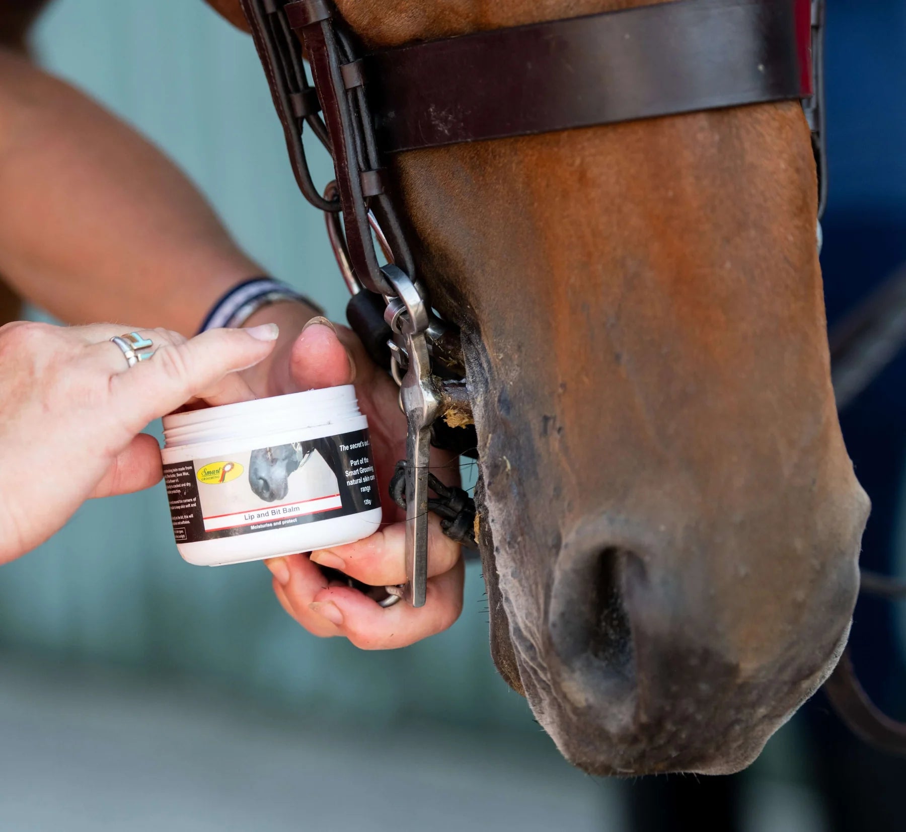 Horse Grooming: Applying Smart Grooming Lip and Bit Balm for Horse Comfort and Care