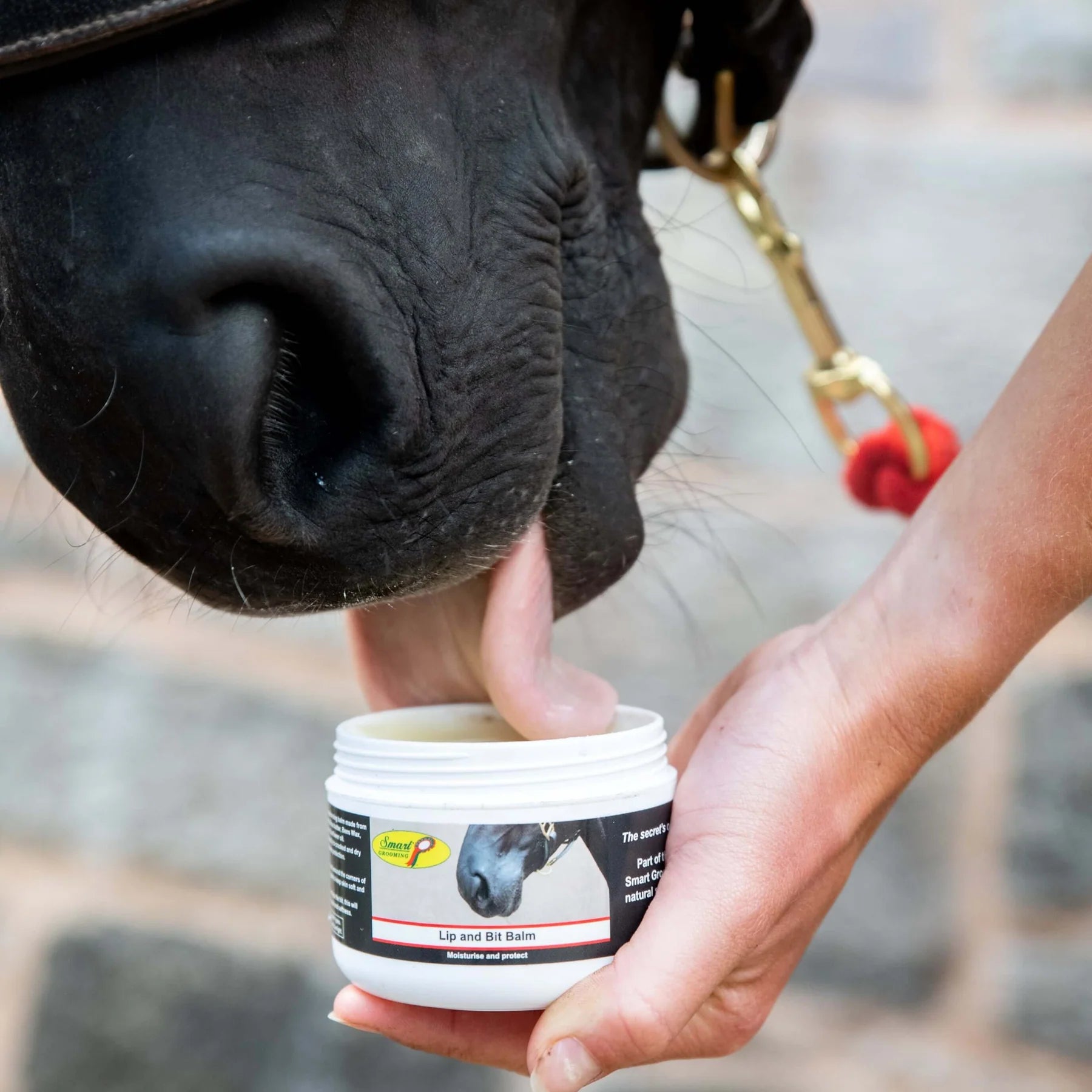 Horse Licking Smart Grooming Lip & Bit Balm - Natural Moisturizing Balm for Horses by Equiflair
