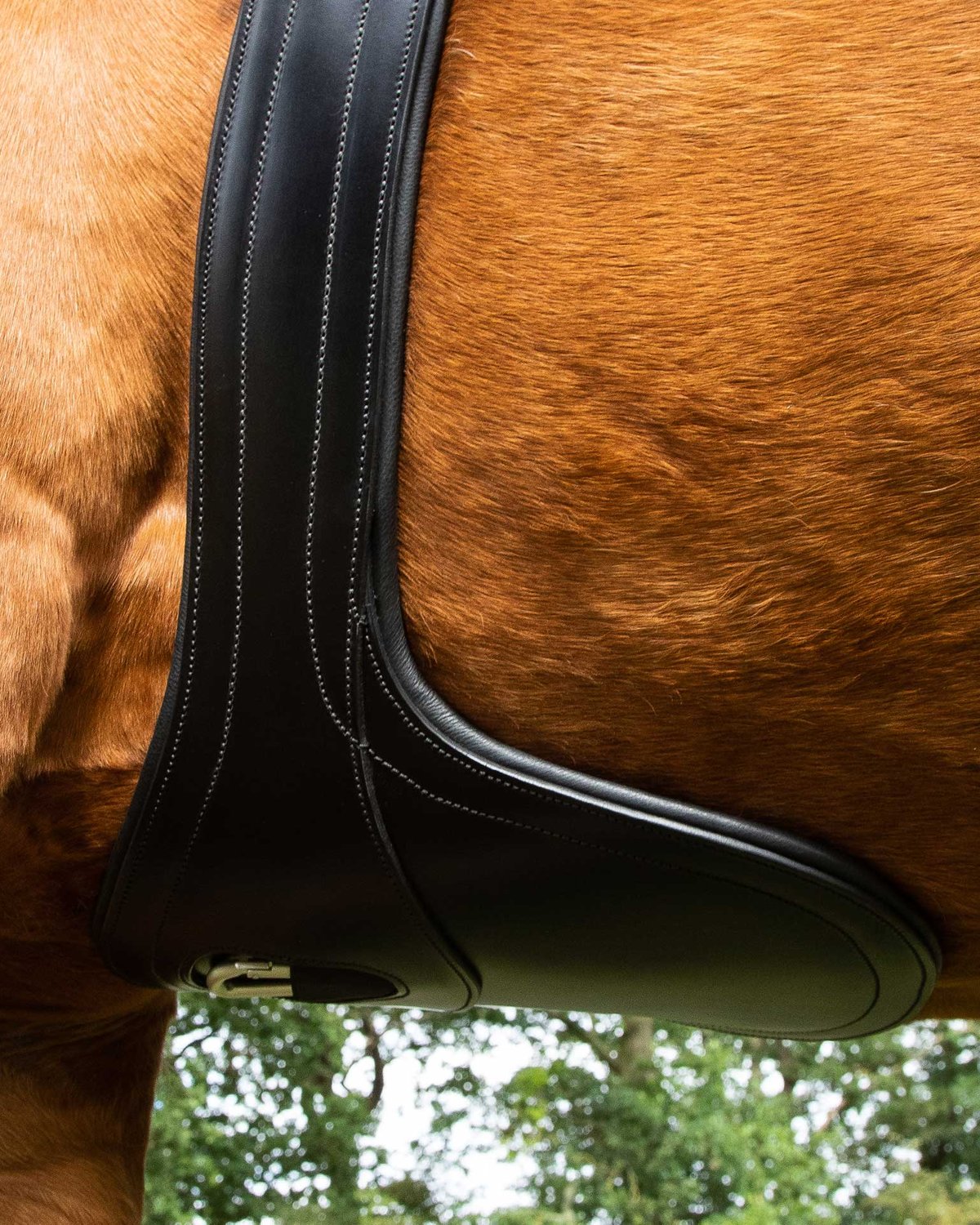 Premier Equine Lizzano Anatomic Leather Stud Girth in Black - Horse Riding Equipment, Anatomically Designed Girth