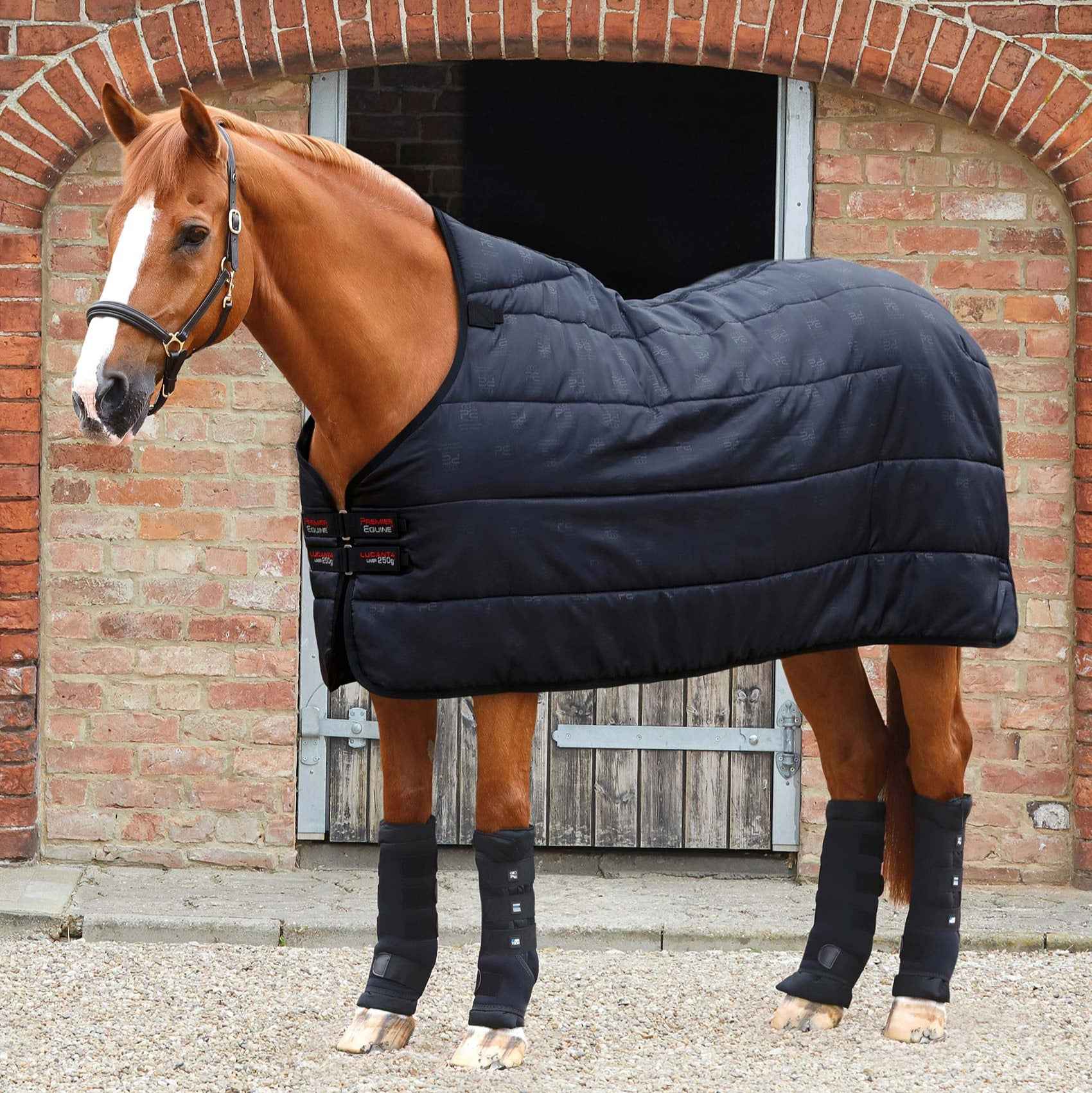 Premier Equine 250g Lucanta Rug Liner Black