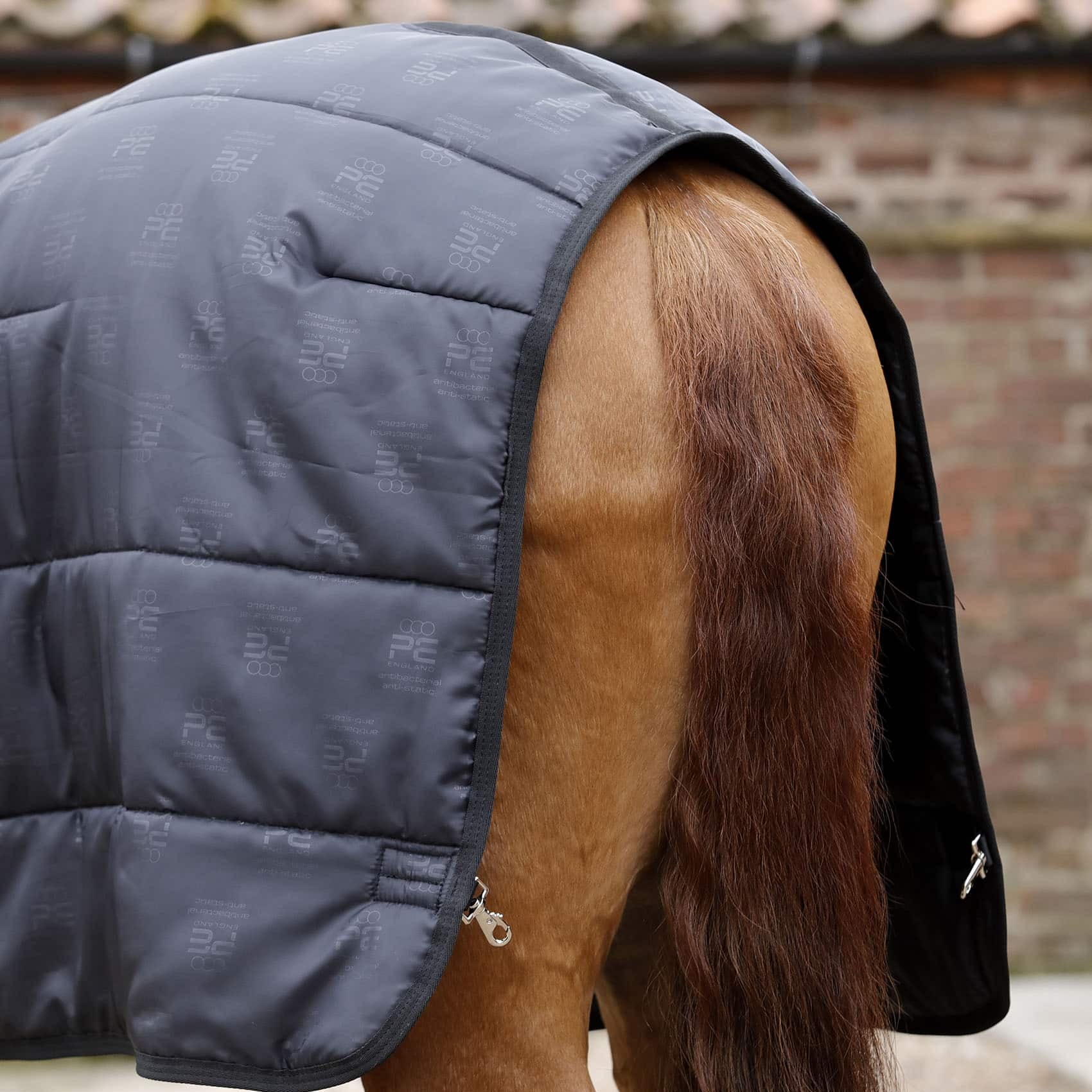 Premier Equine Lucanta 250g Horse Rug Liner. Antibacterial & Breathable Horsewear. Showing rear fit and tail detail.