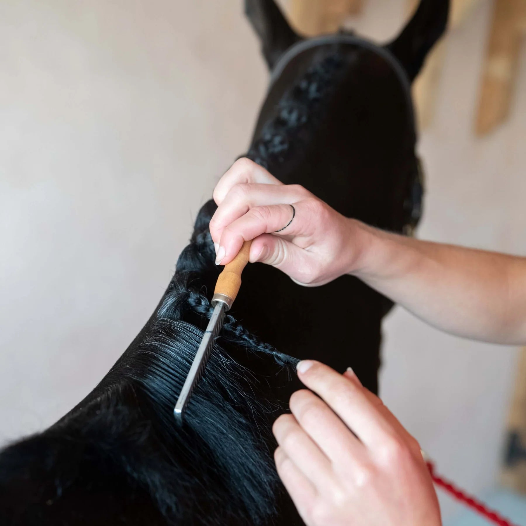 Braiding horse mane with Smart Grooming comb: Grooming tool for neat plaits. Professional horse grooming at Equiflair.