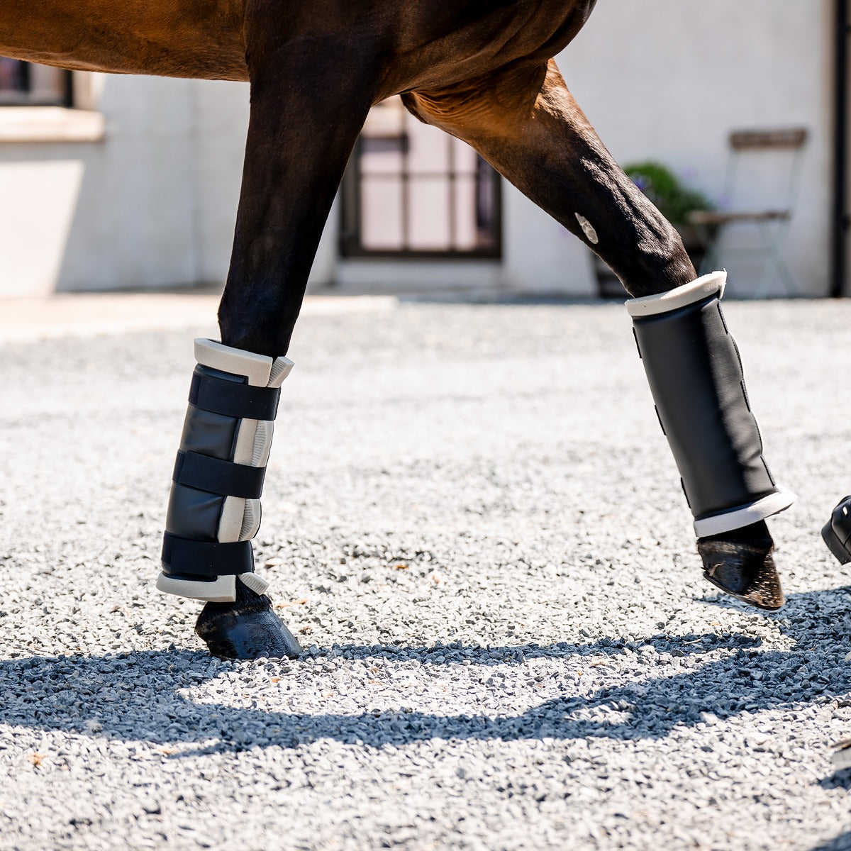 Equiflair: Horse Travel Boots, Leg Protection, Made in UK. Black Travel Boots with Secure Straps for Safe Transport.