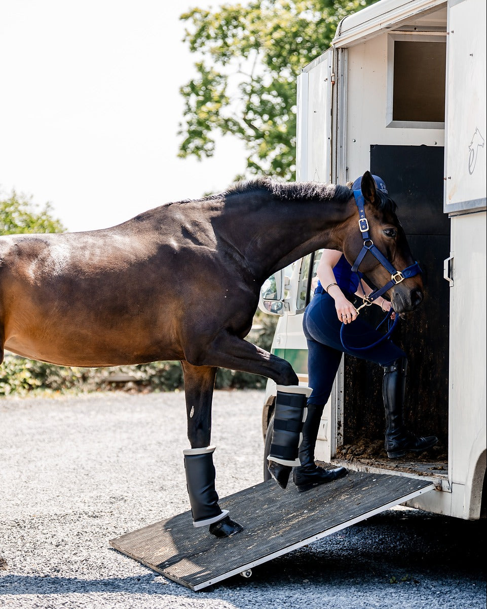 Brown horse wearing CAMEO TRAVEL BOOTS by Equiflair exiting a horse trailer. Horse rider wearing riding boots. UK-made horse boots.