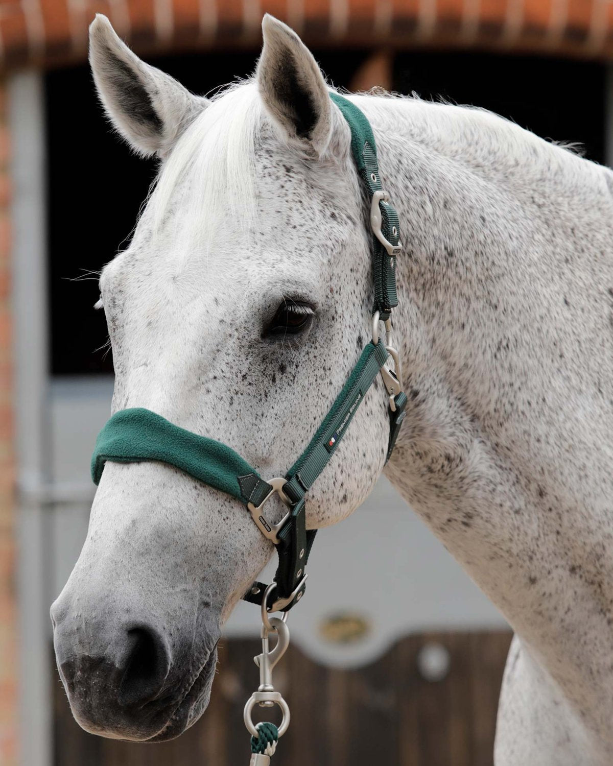 Premier Equine Fleece Padded Head Collar Green