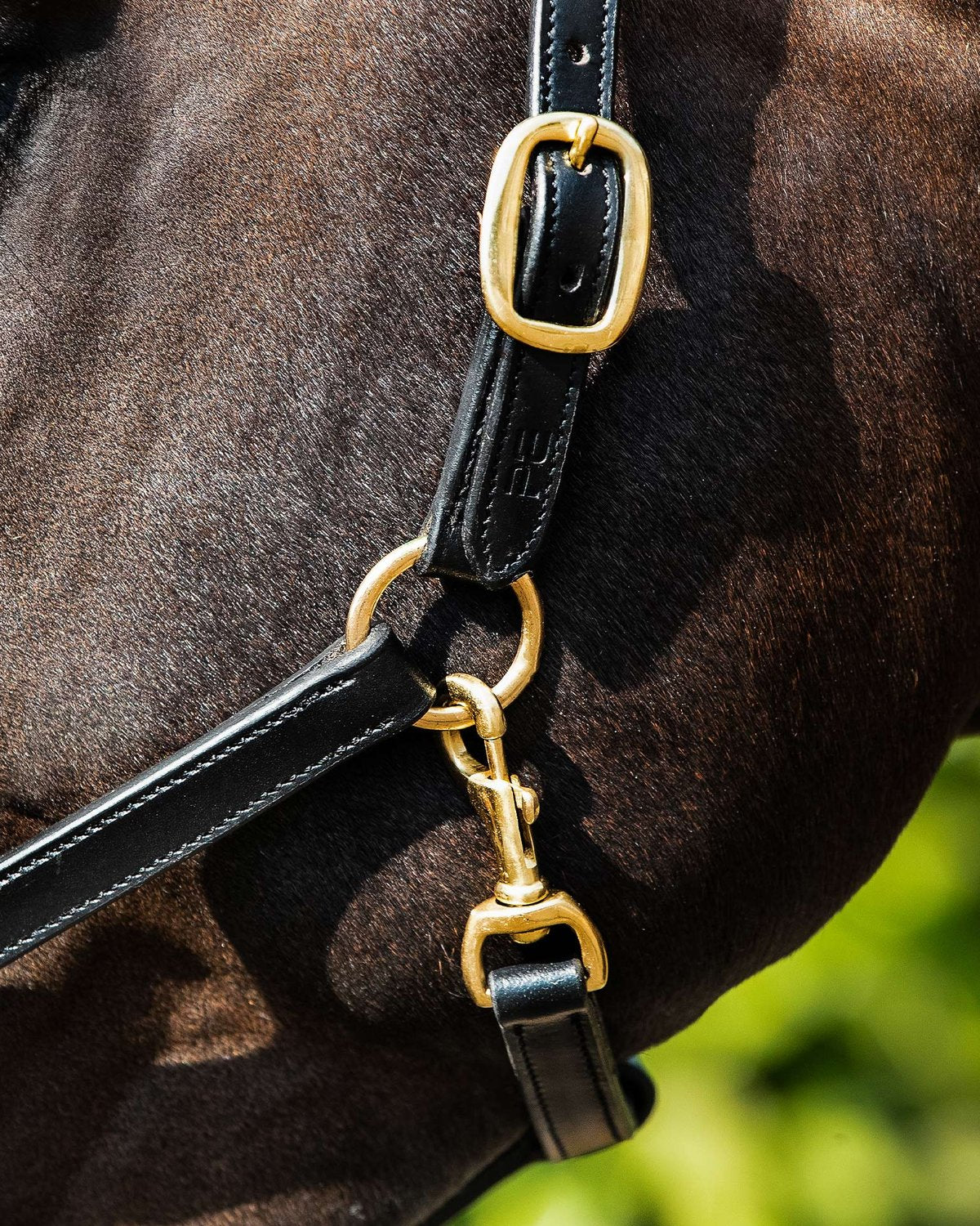 Premier Equine Leather Headcollar Black: Padded Horse Halter Detail - Equiflair