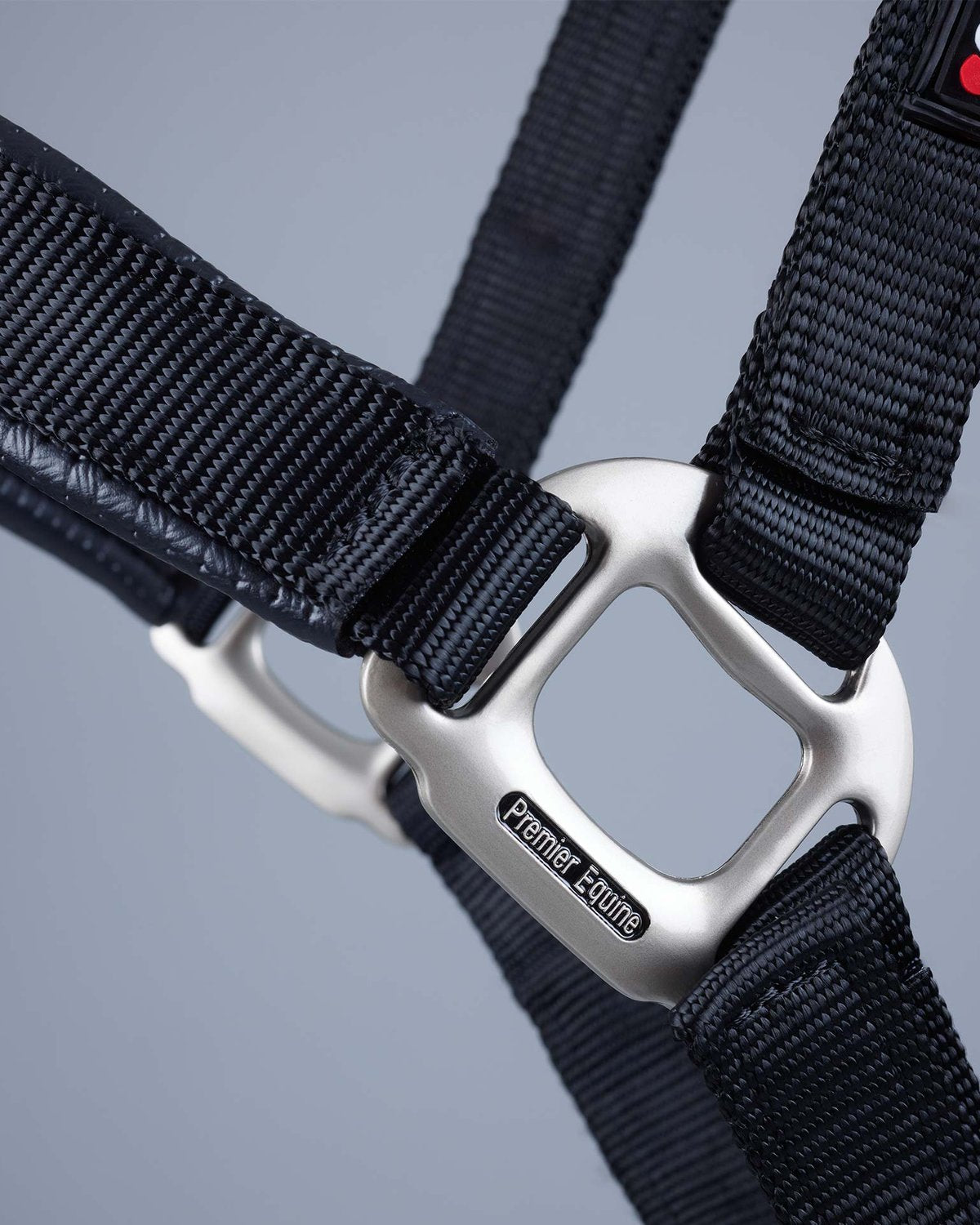 Premier Equine Plain Padded Horse Head Collar Black