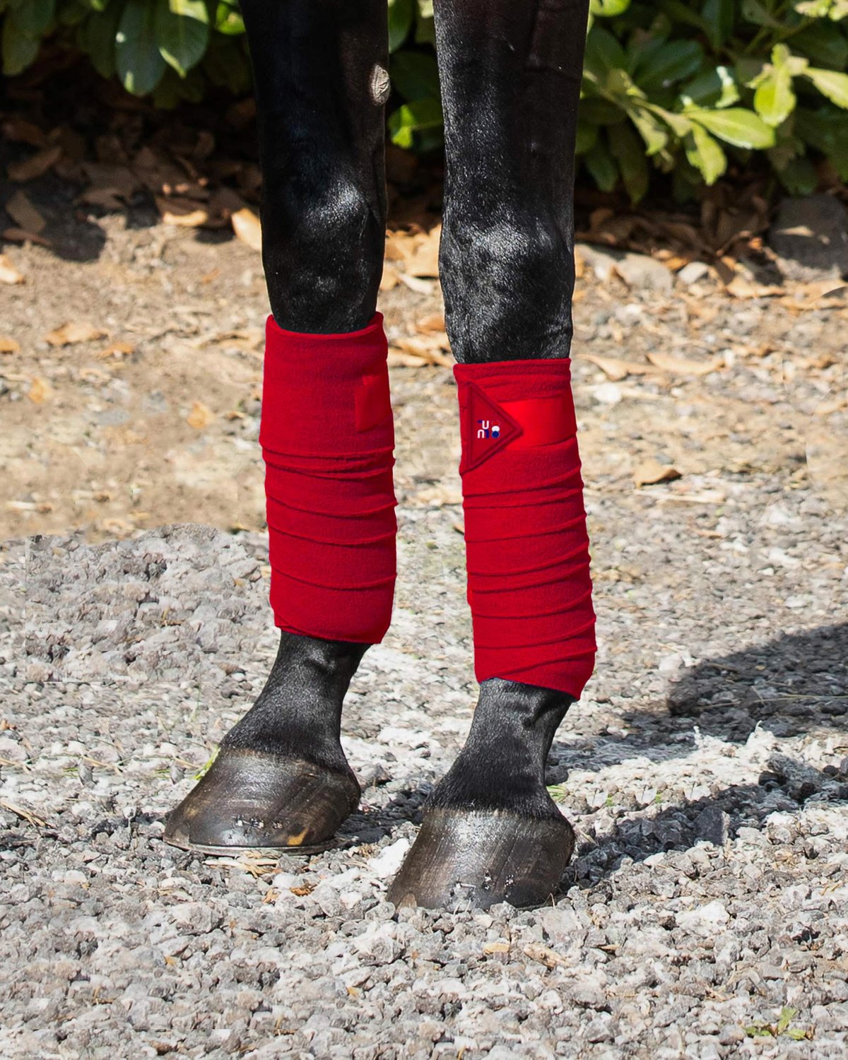 Red Polo Fleece Bandages on Horse Legs: Protective Equestrian Legwear