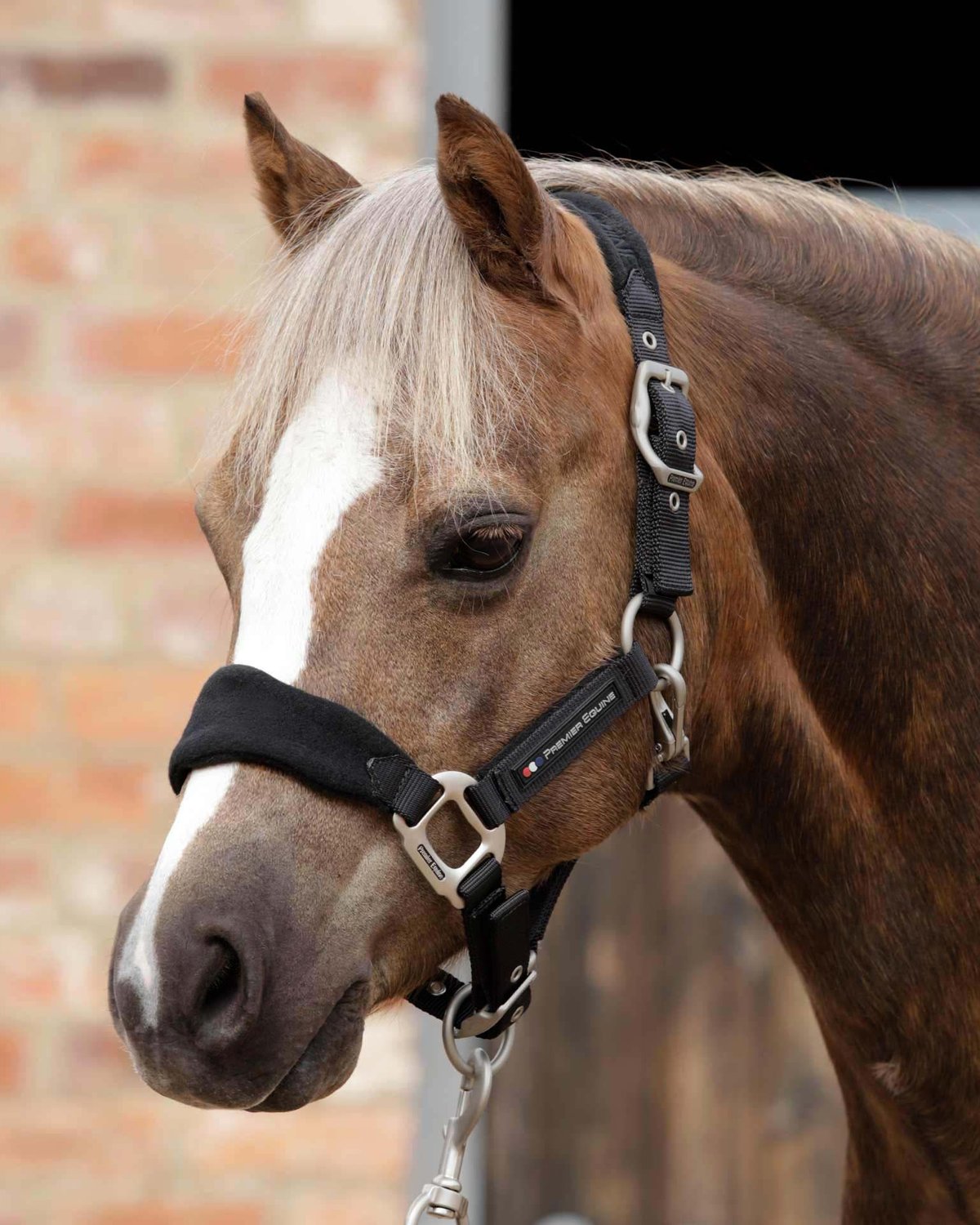 Premier Equine Fleece Padded Head Collar Black