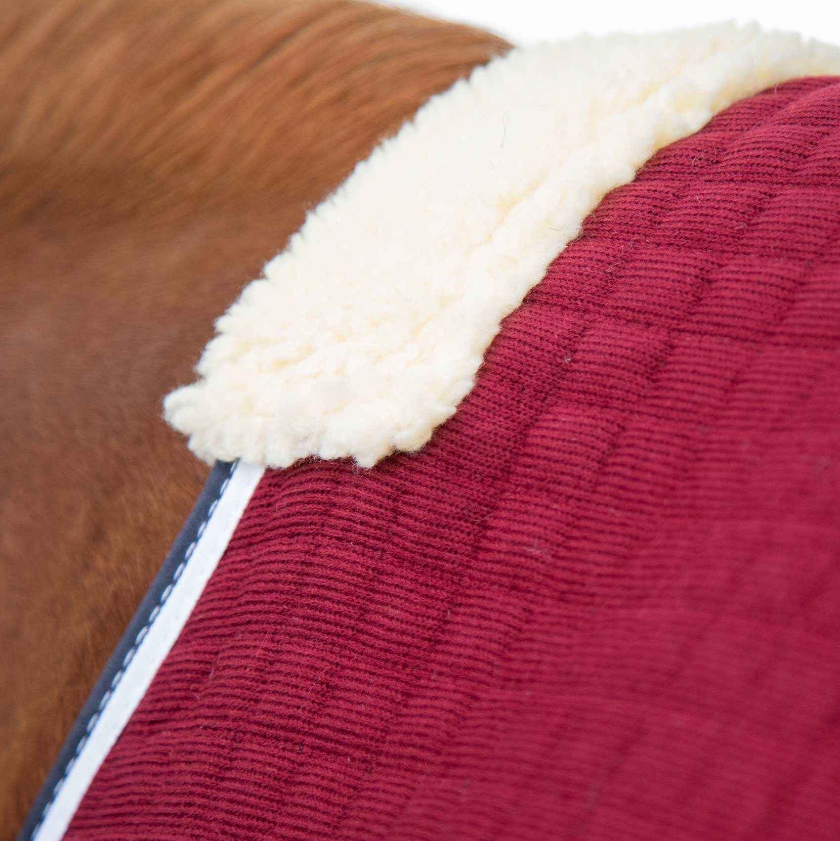 Premier Equine PremTex Horse Cooler Rug Burgundy