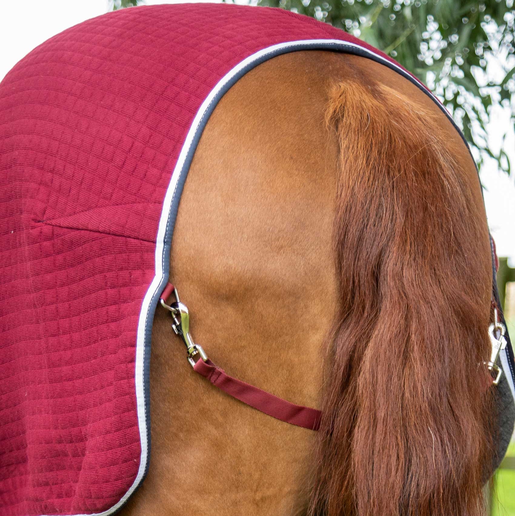 PREMIER EQUINE Burgundy Horse Cooler Rug - Comfortable Horse Wear